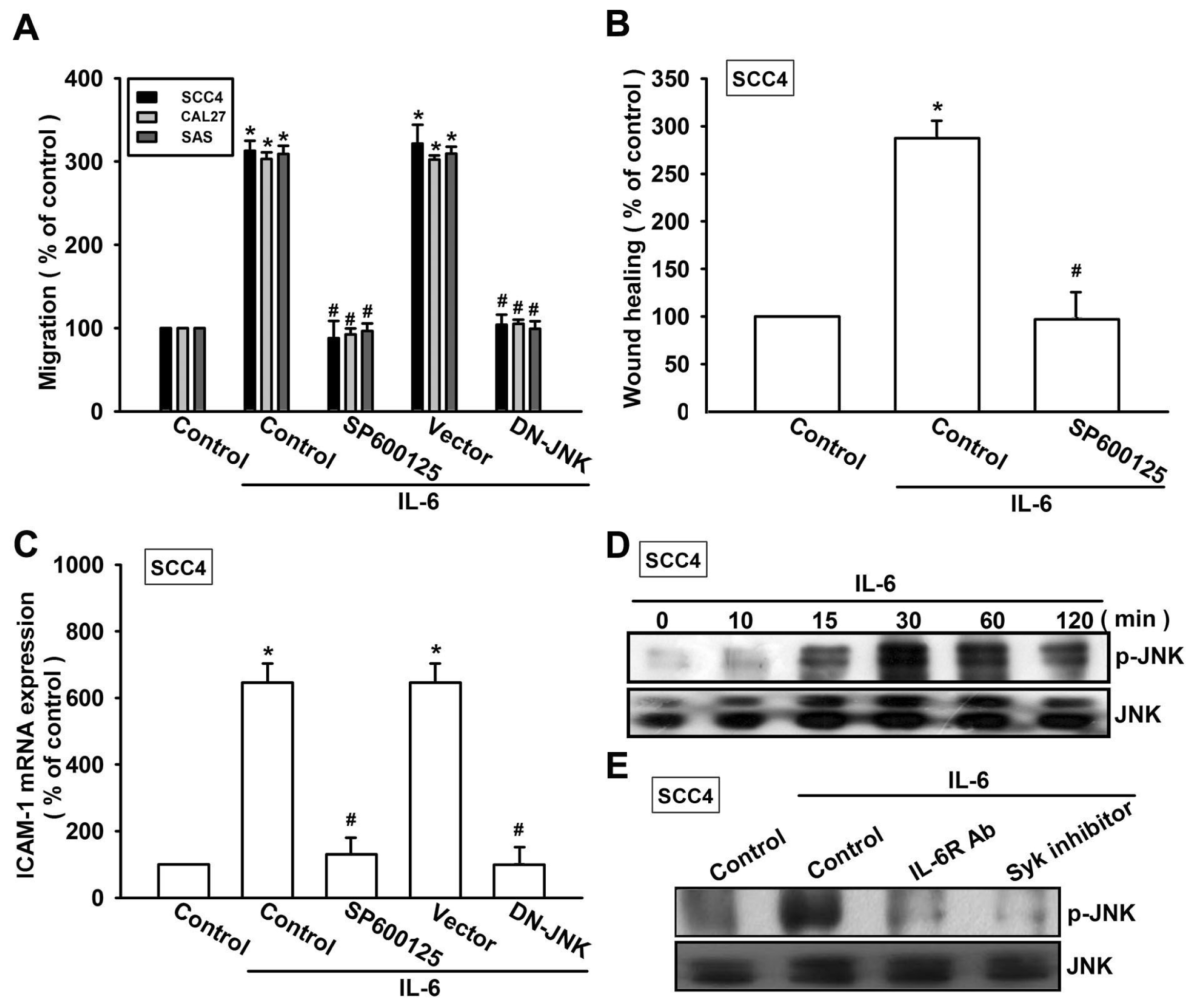 Ijms 15 00545f5 1024