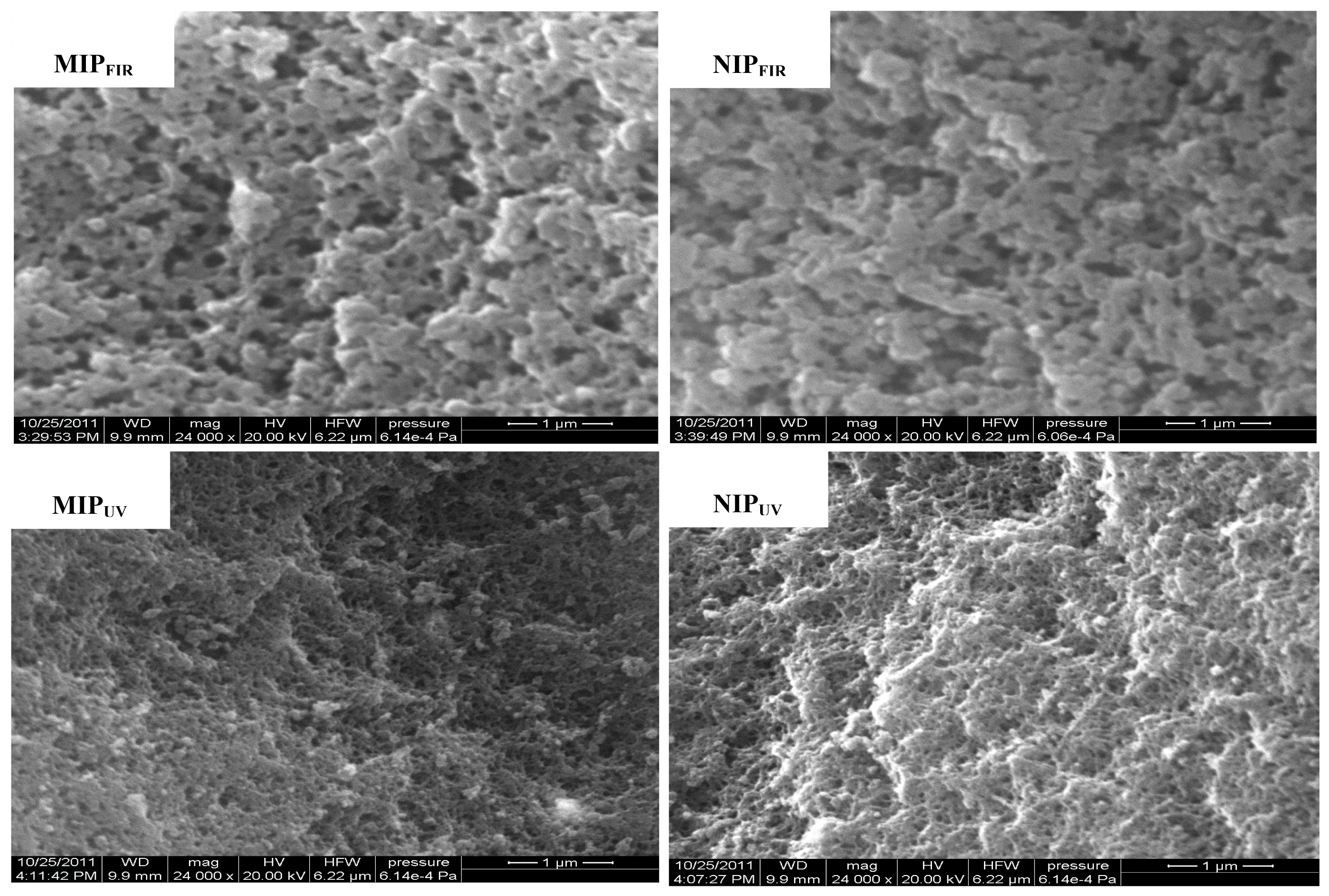 Ijms 15 00574f1 1024