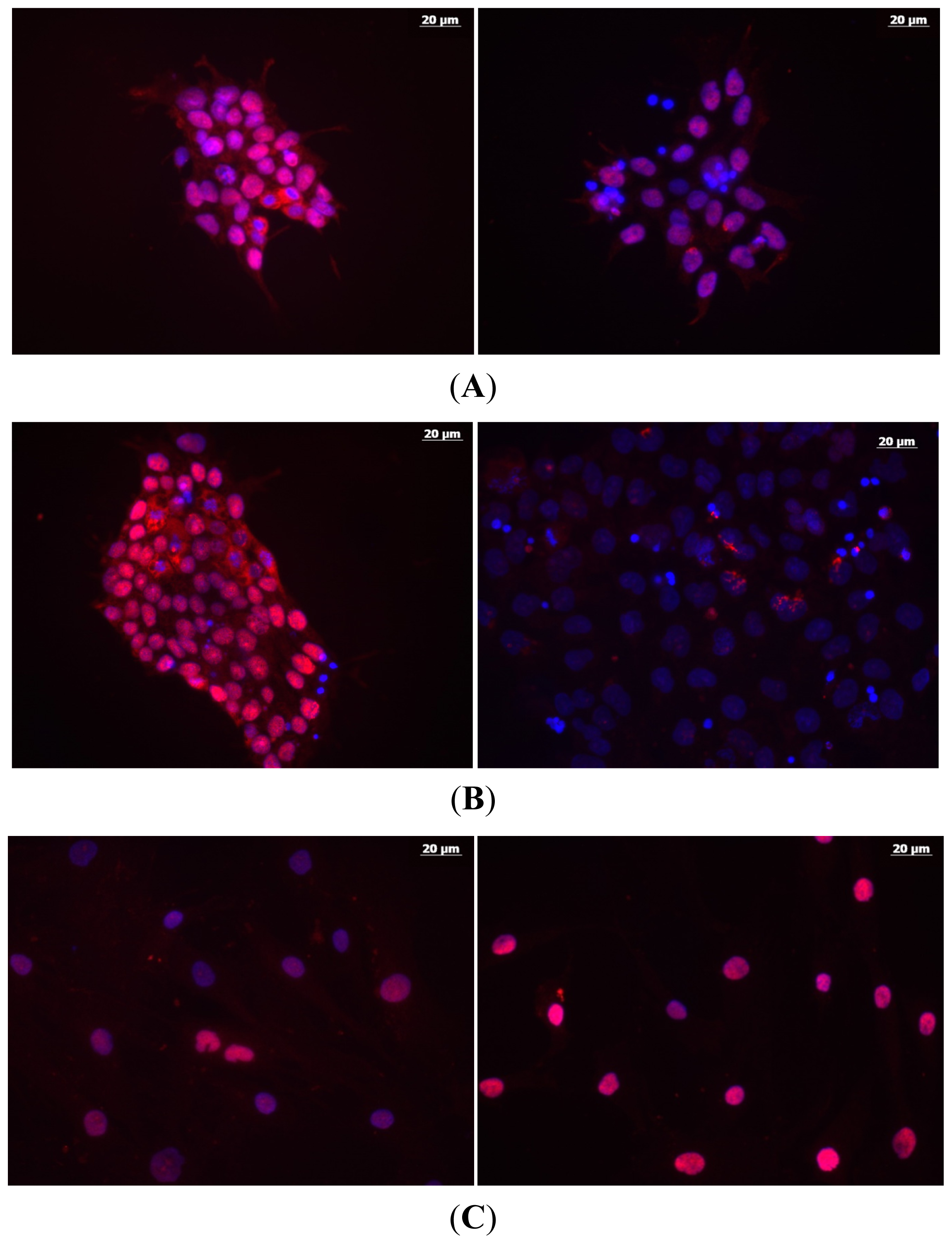 Ijms 15 00588f6 1024