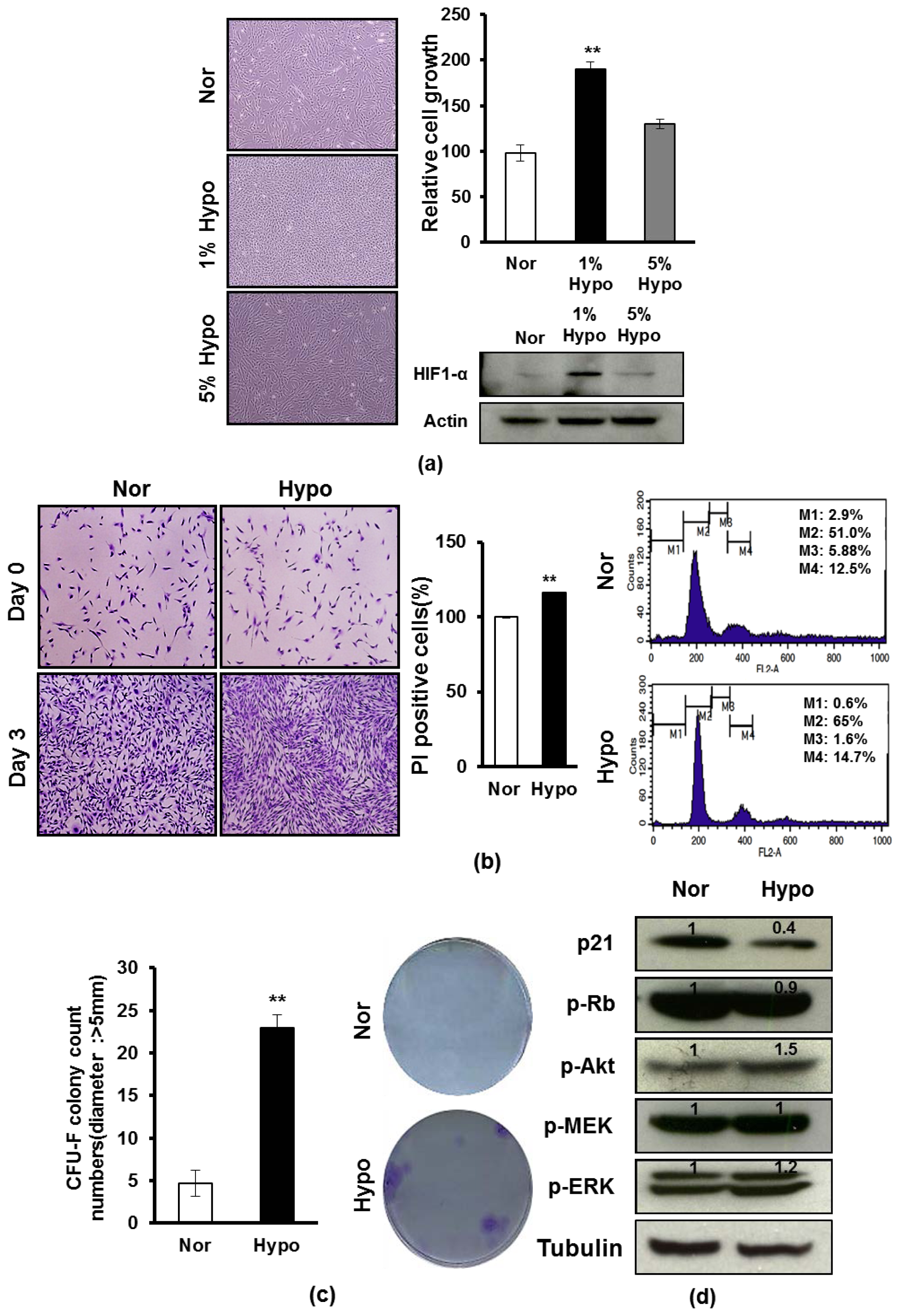 Ijms 15 00605f1 1024