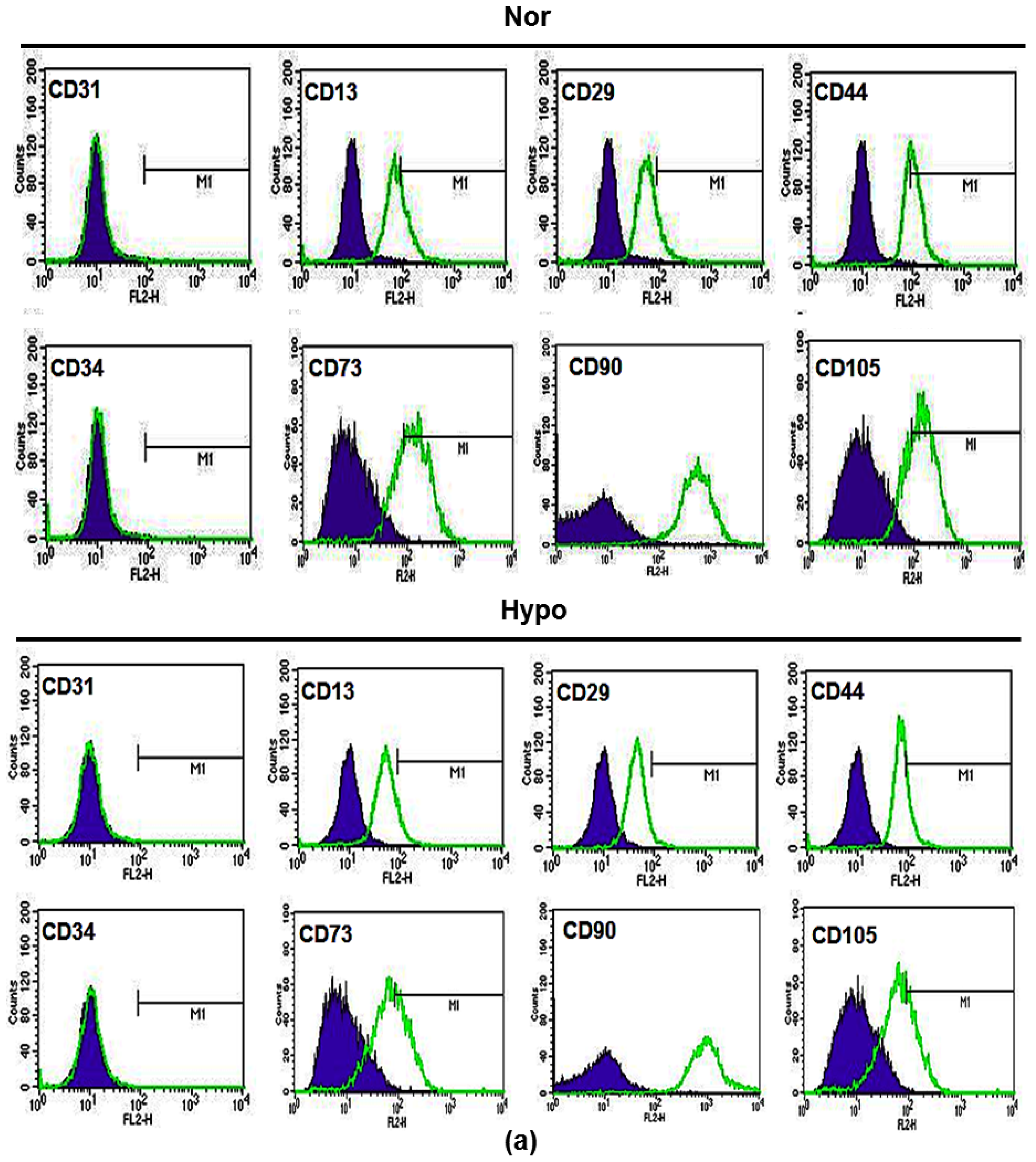 Ijms 15 00605f2a 1024