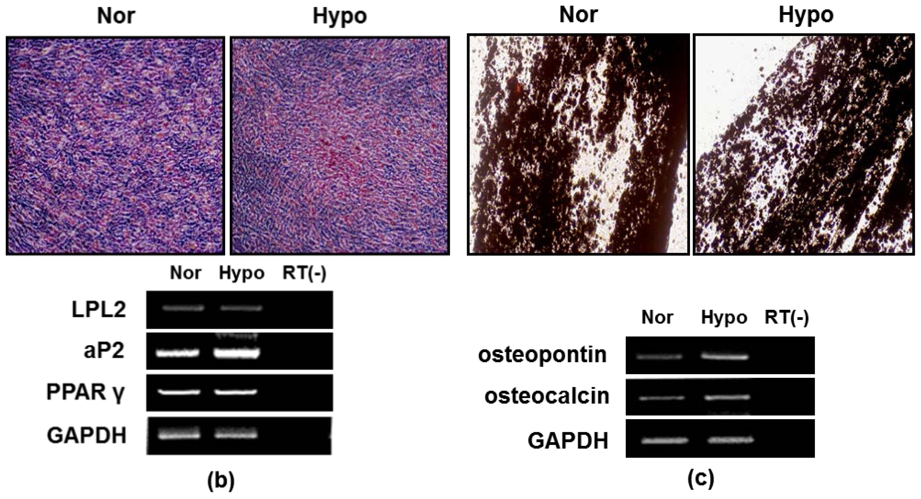 Ijms 15 00605f2b 1024