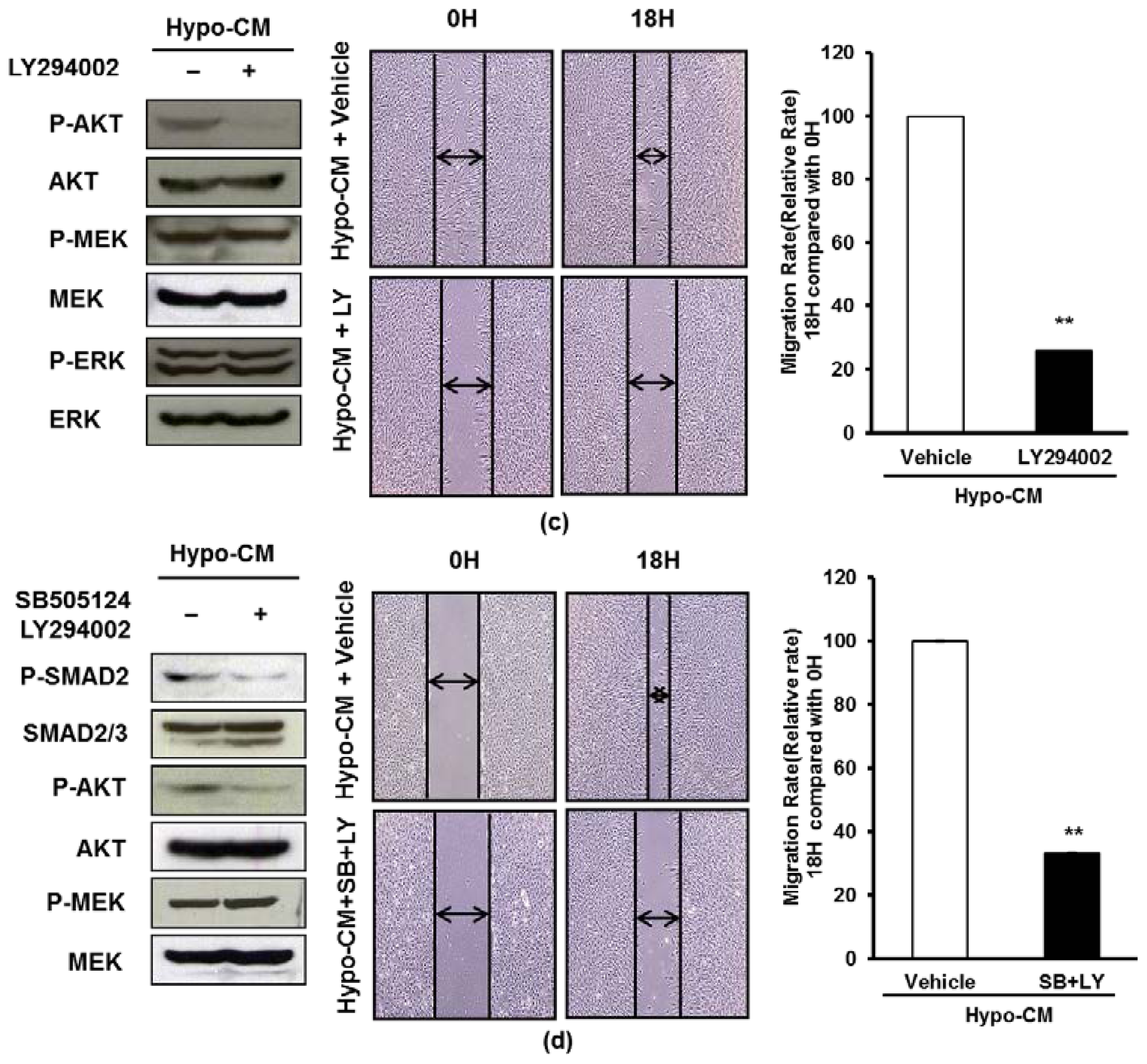 Ijms 15 00605f4b 1024