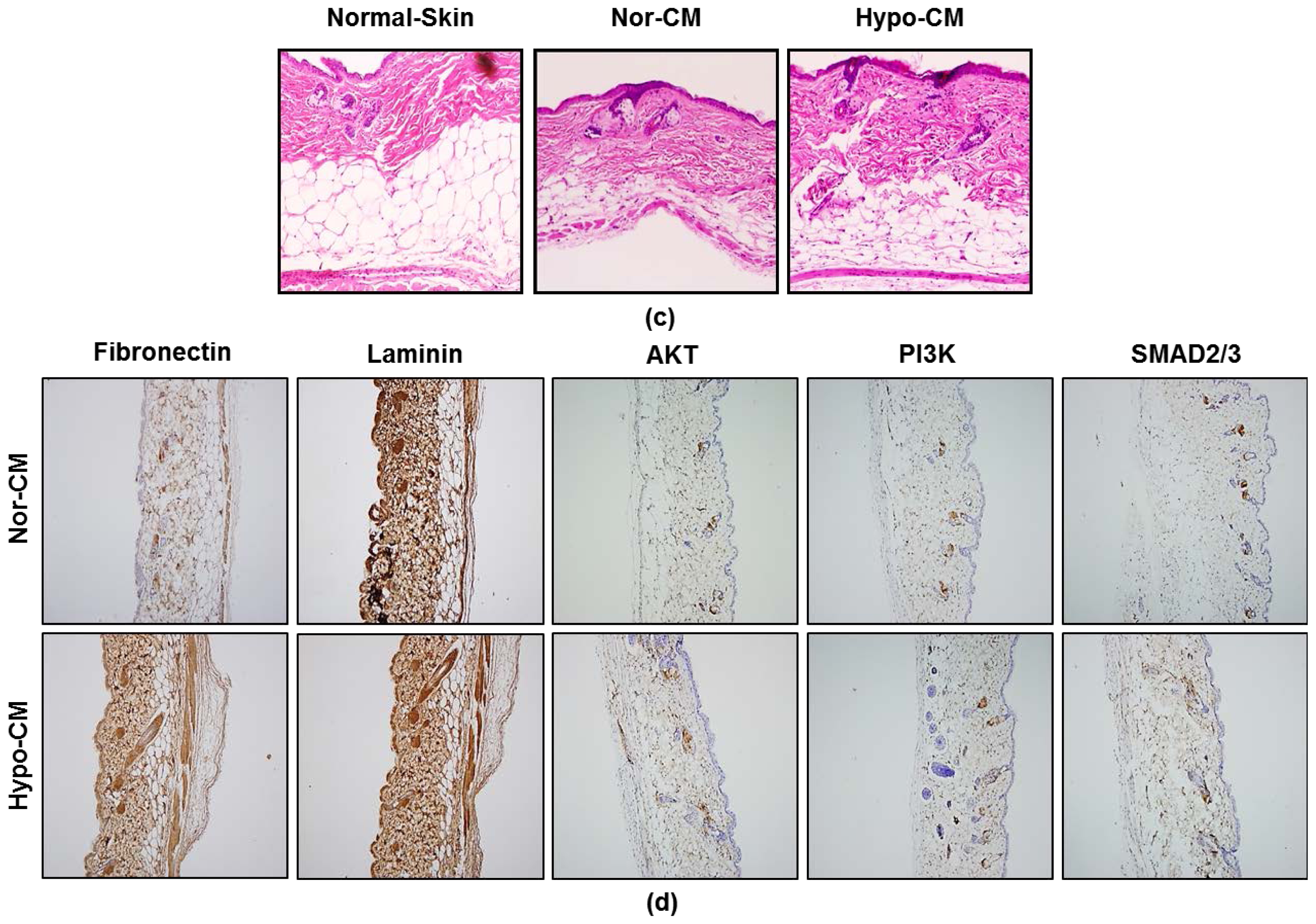 Ijms 15 00605f5b 1024