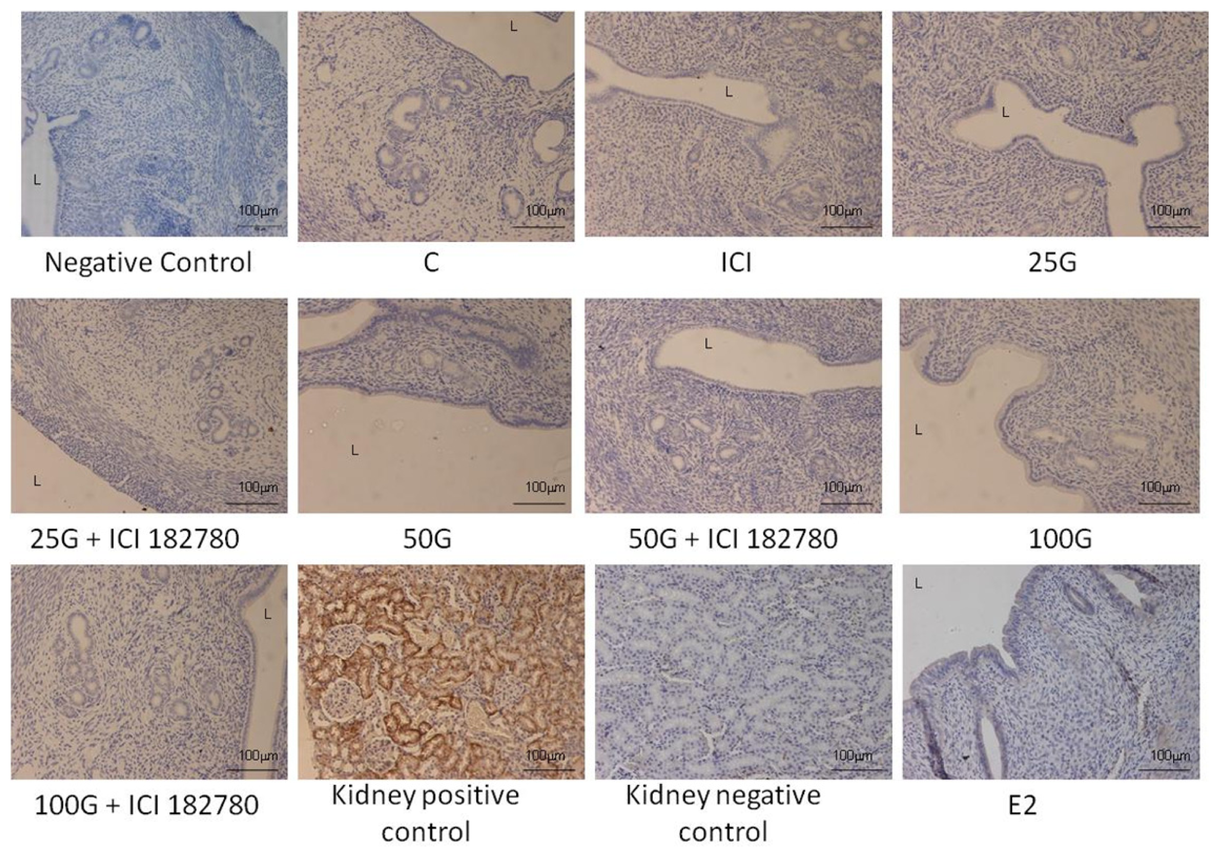 Ijms 15 00958f10 1024