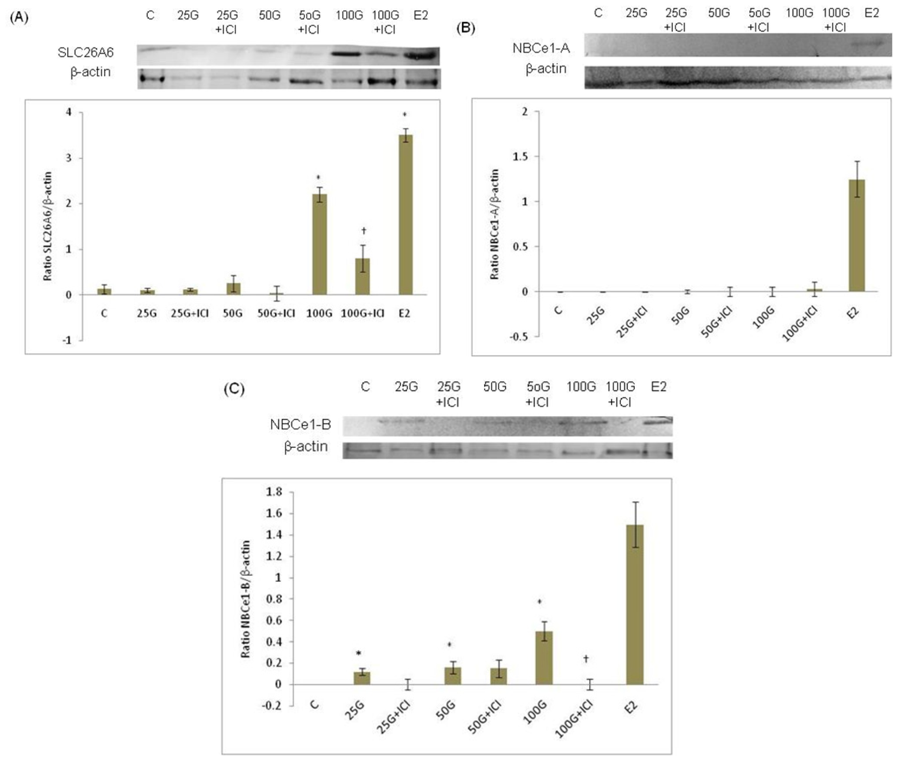 Ijms 15 00958f3 1024