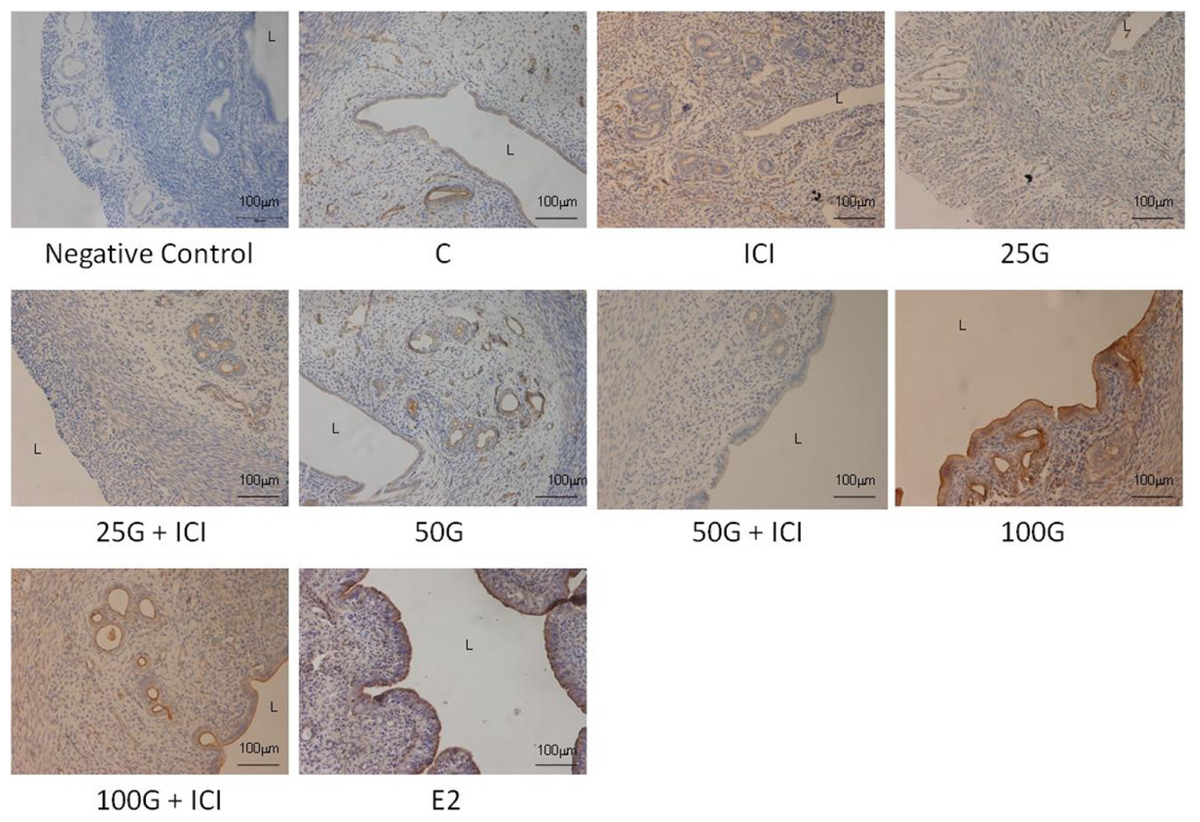 Ijms 15 00958f4 1024