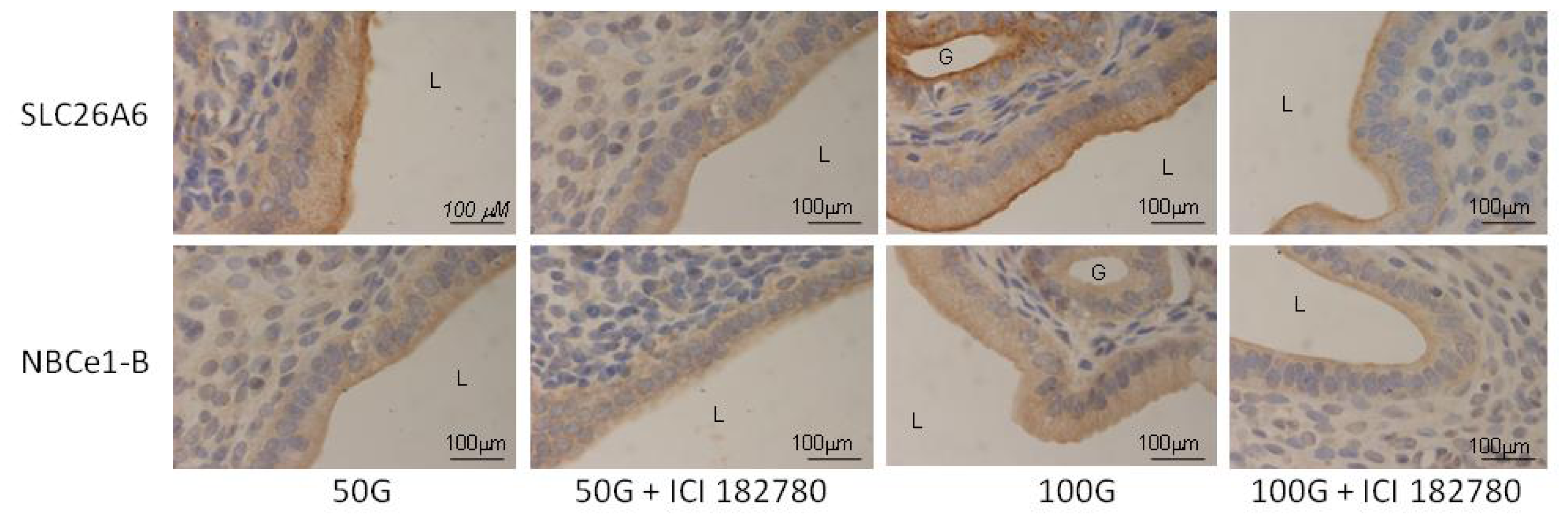 Ijms 15 00958f6 1024