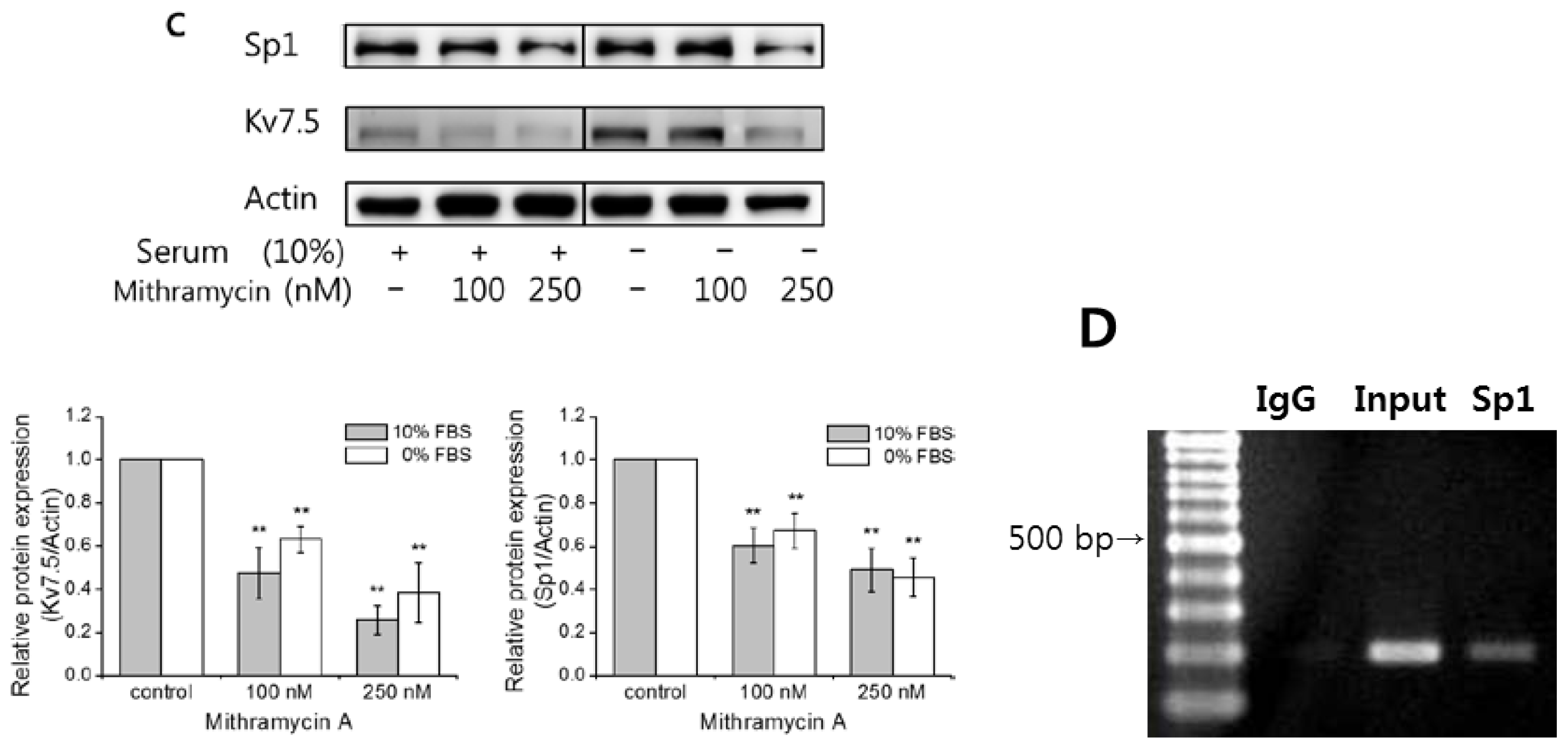Ijms 15 00977f5b 1024