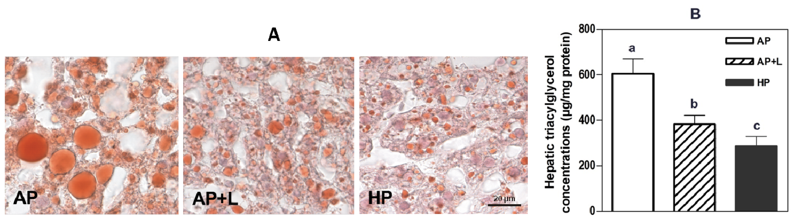 Ijms 15 01374f5 1024