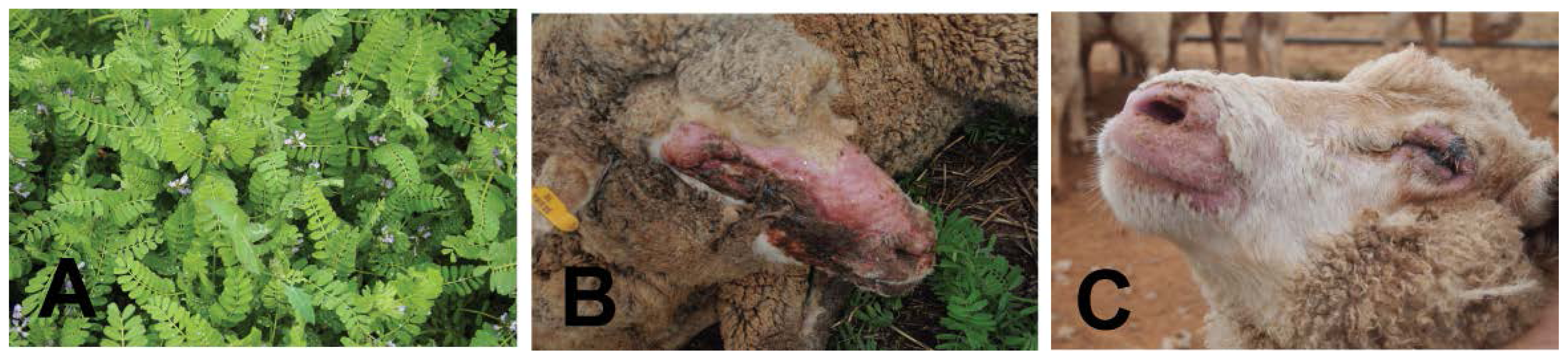 Ijms 15 01441f4 1024