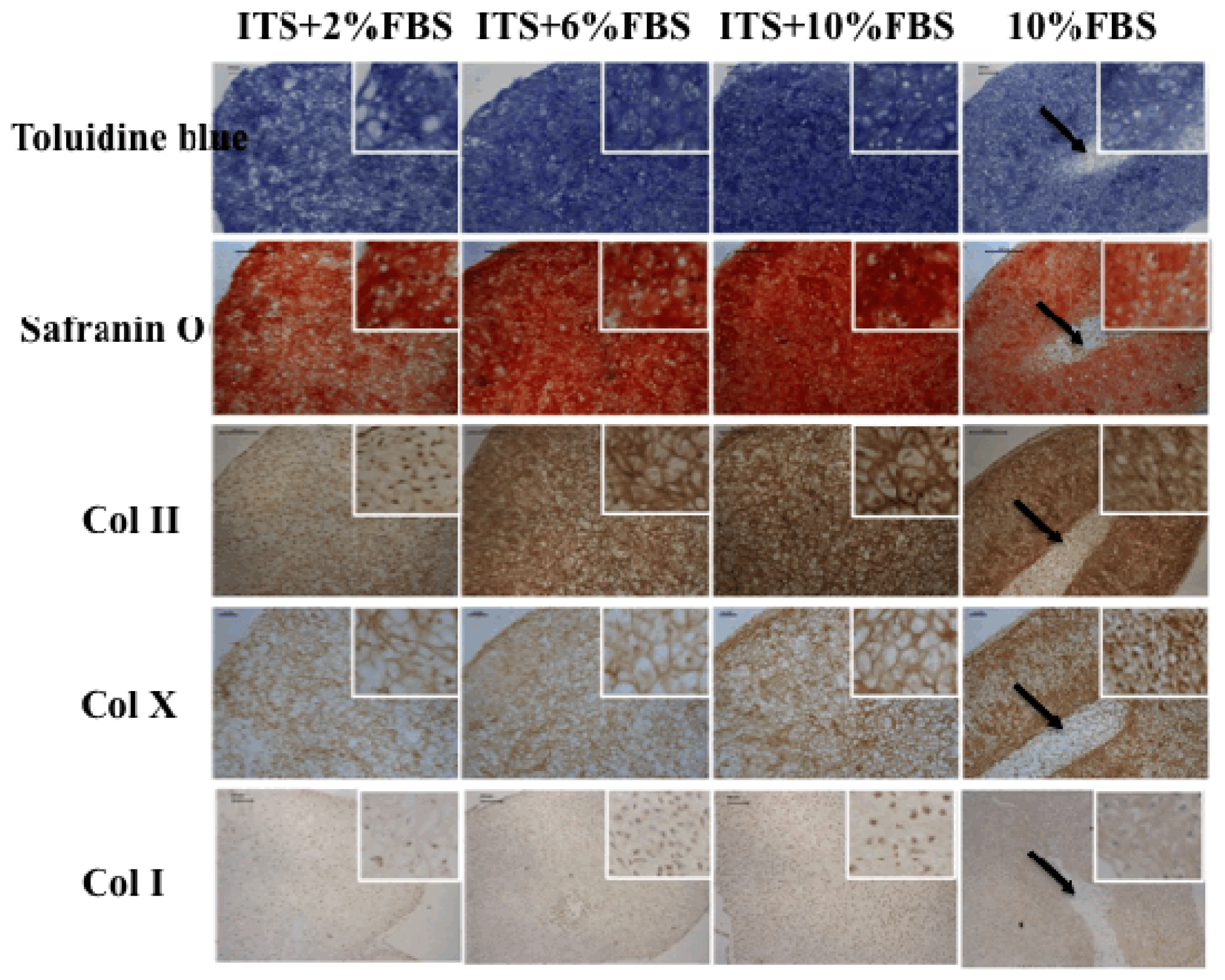 Ijms 15 01525f3
