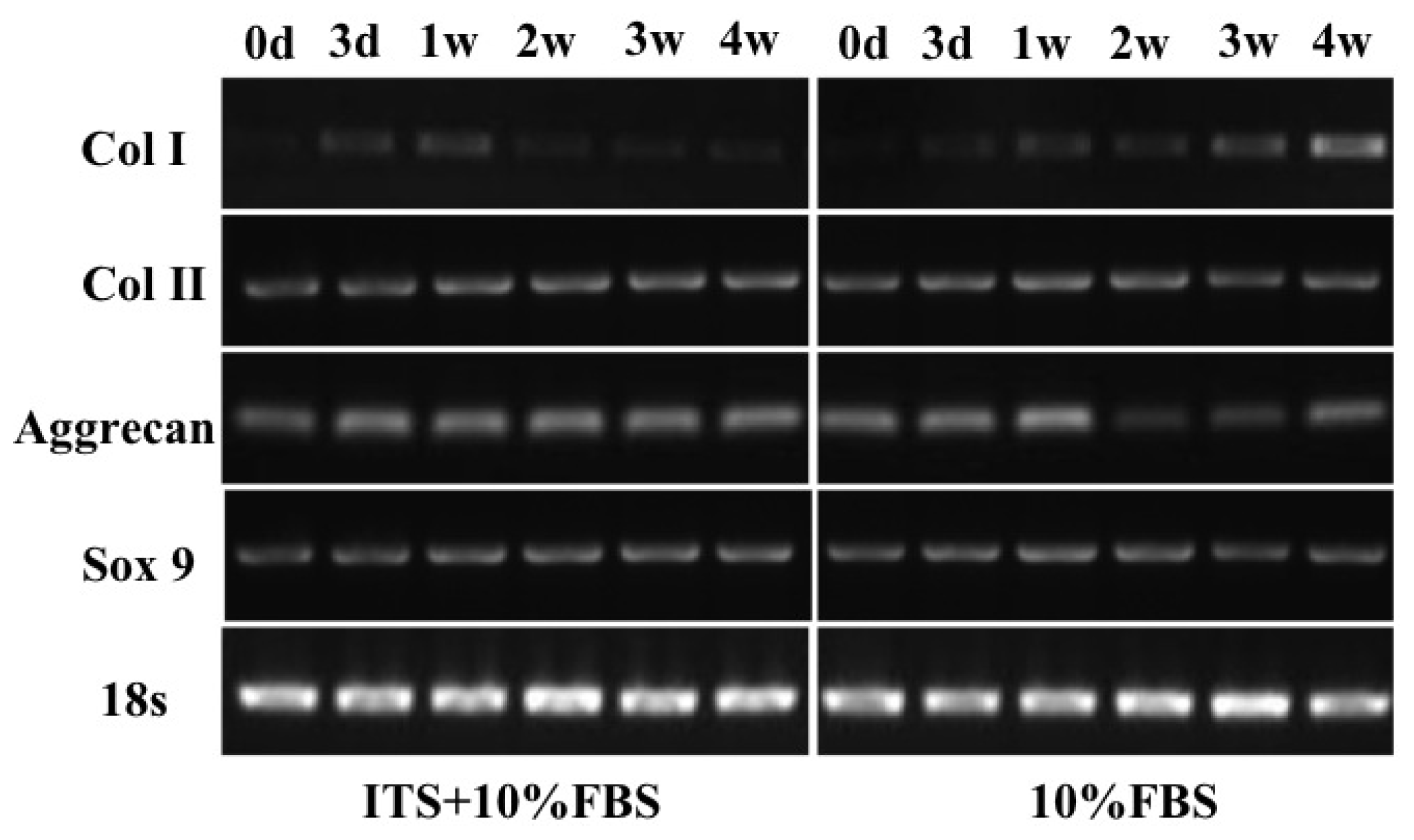 Ijms 15 01525f5