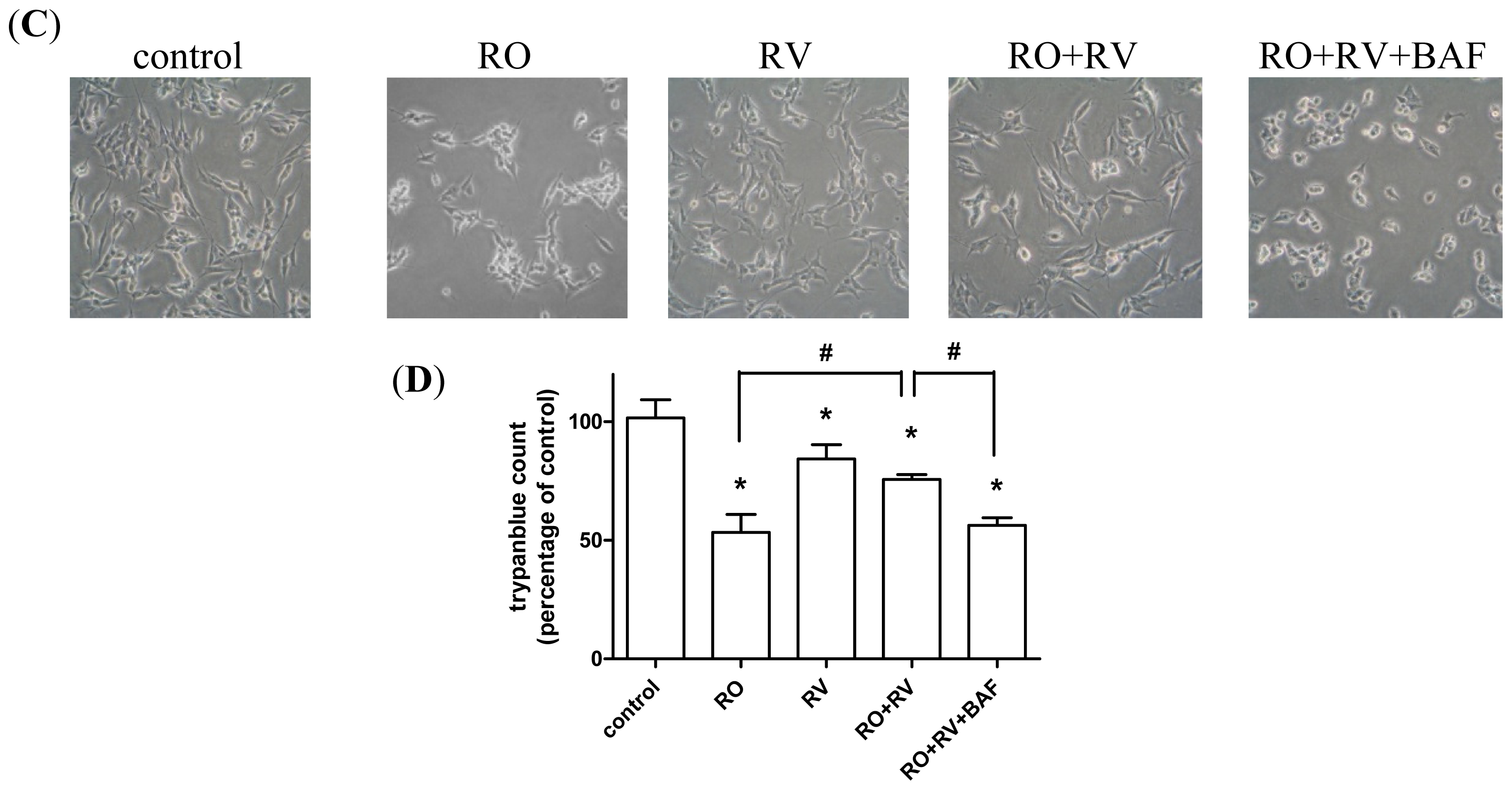 Ijms 15 01625f1b 1024
