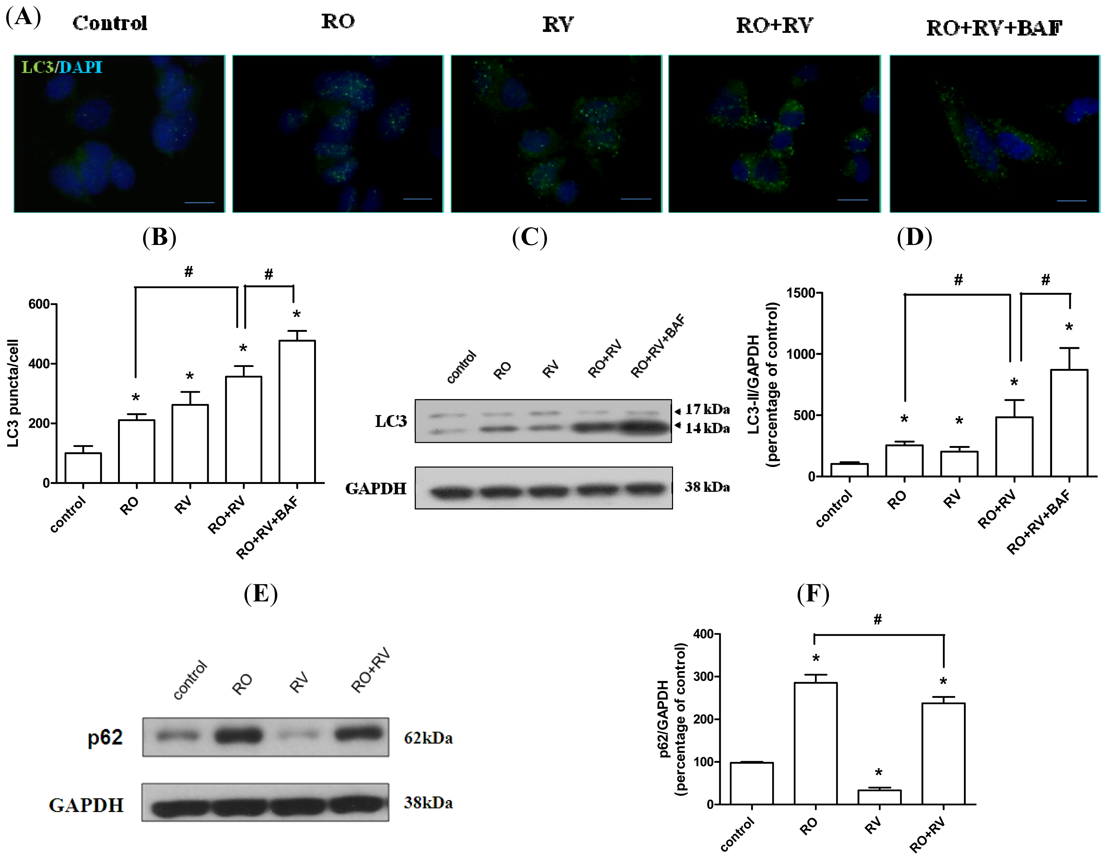 Ijms 15 01625f3 1024