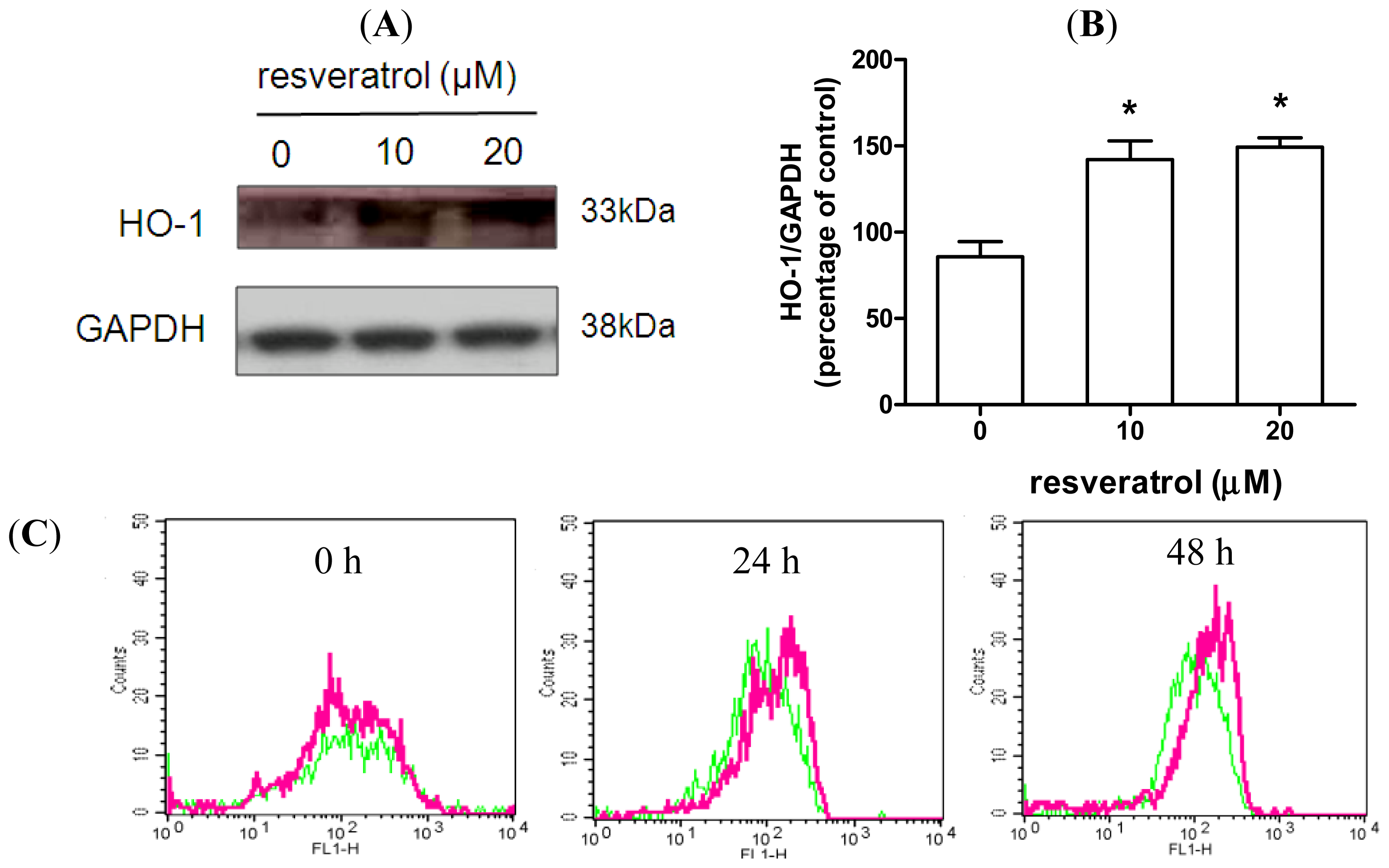 Ijms 15 01625f4a 1024