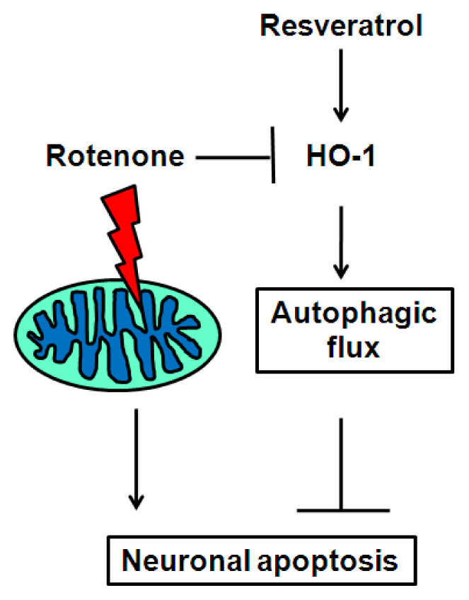 Ijms 15 01625f7 1024