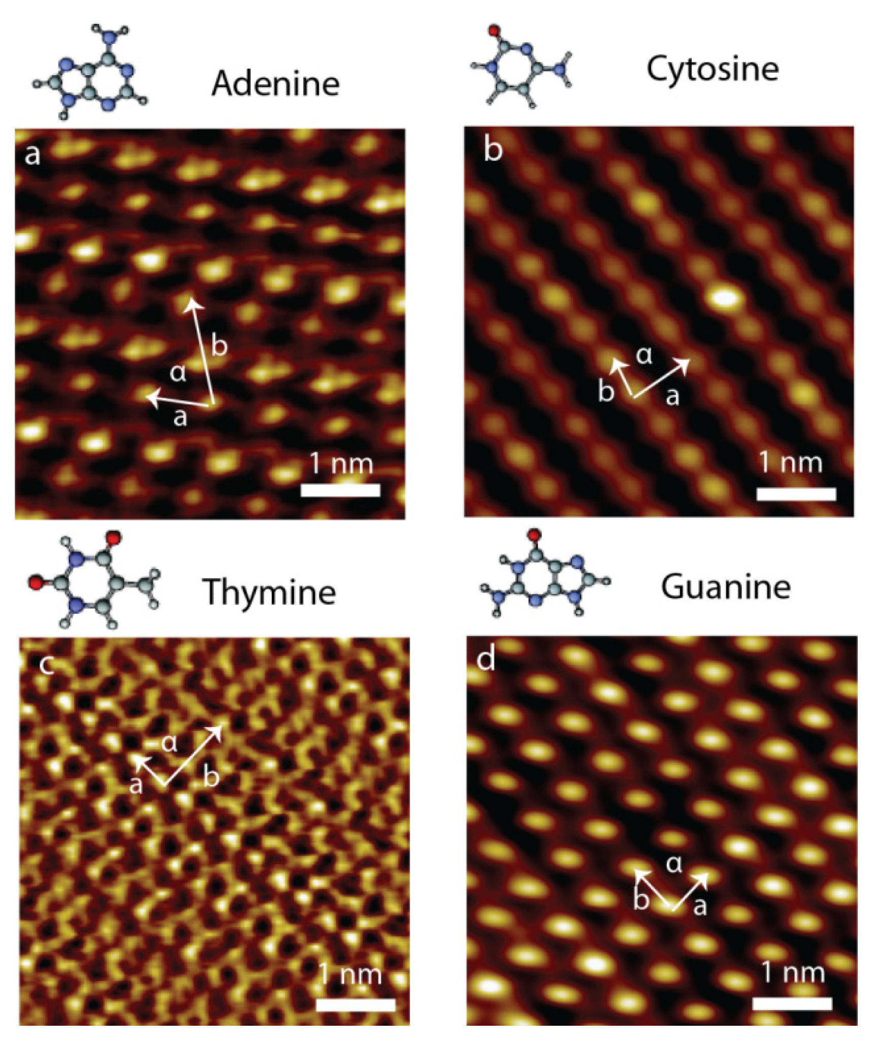 Ijms 15 01901f3 1024