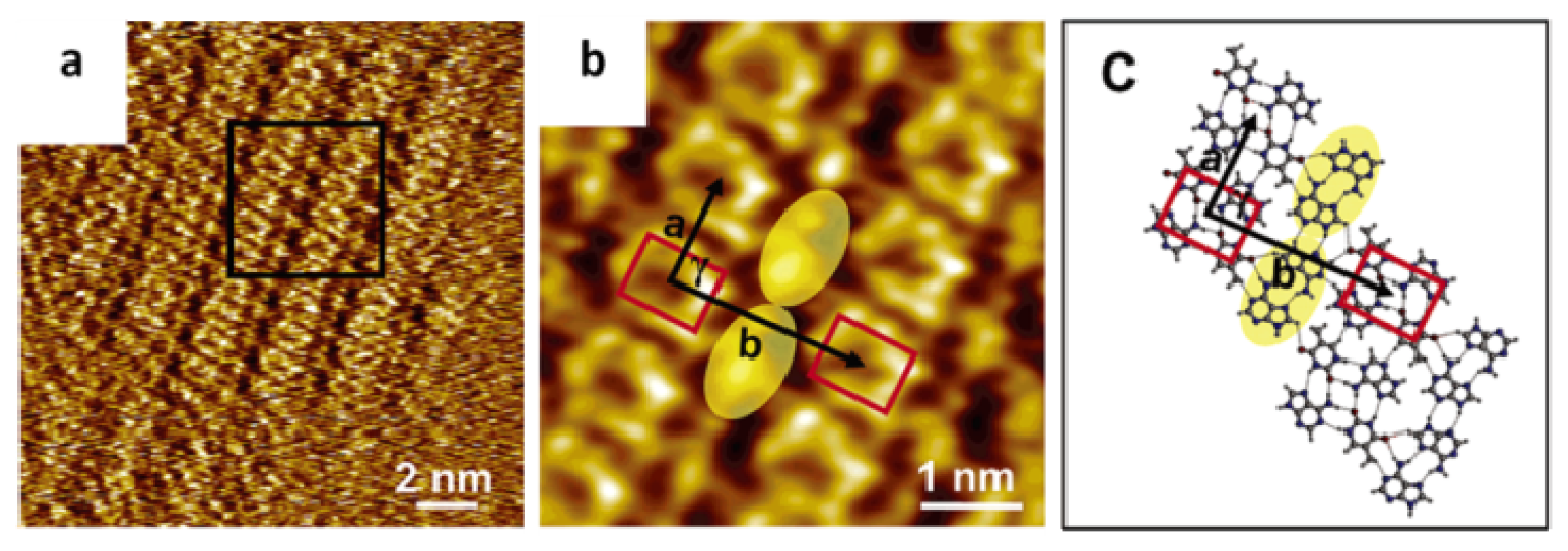 Ijms 15 01901f6 1024