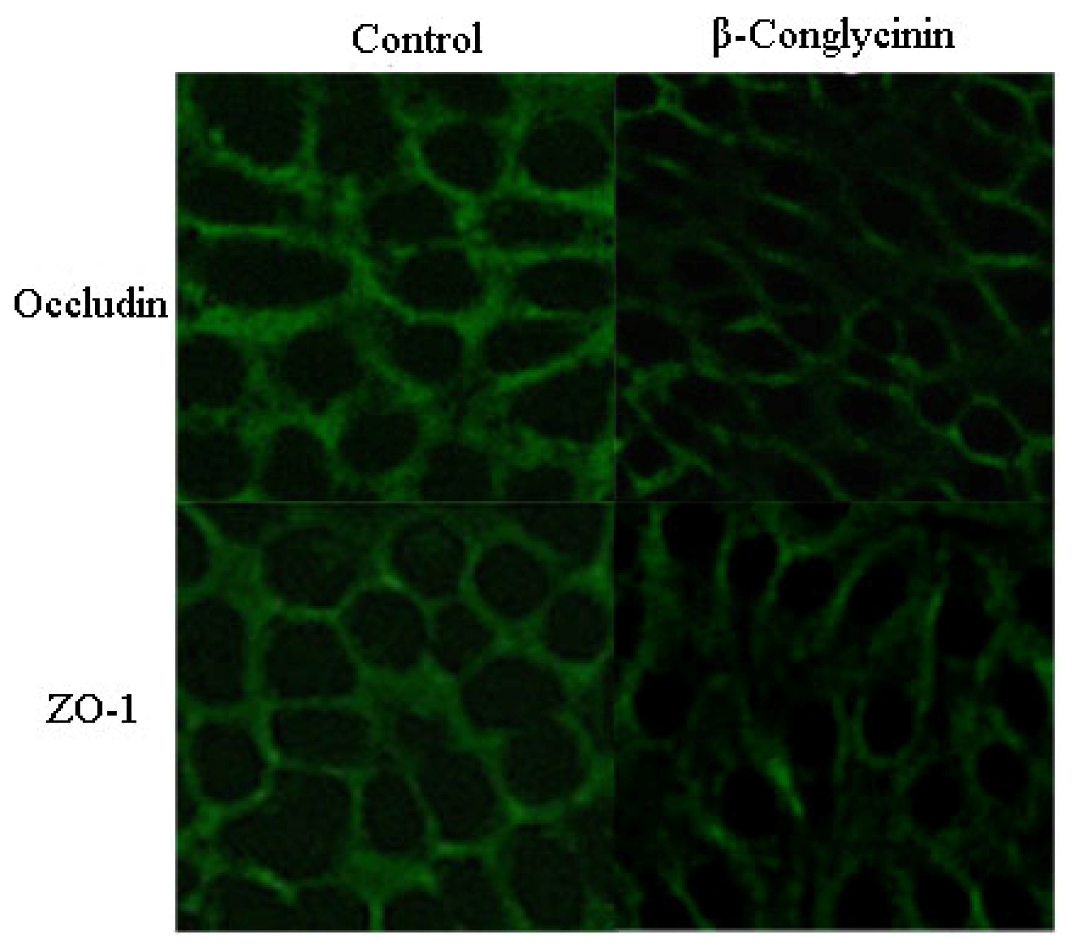 Ijms 15 01915f4 1024