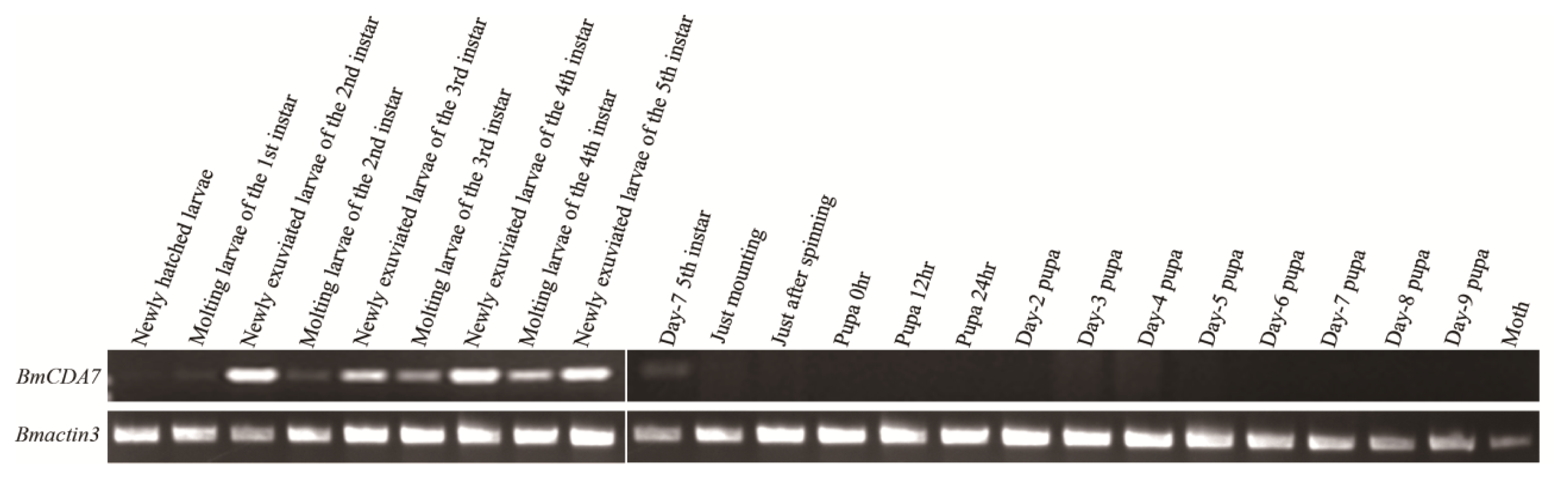Ijms 15 01946f5 1024