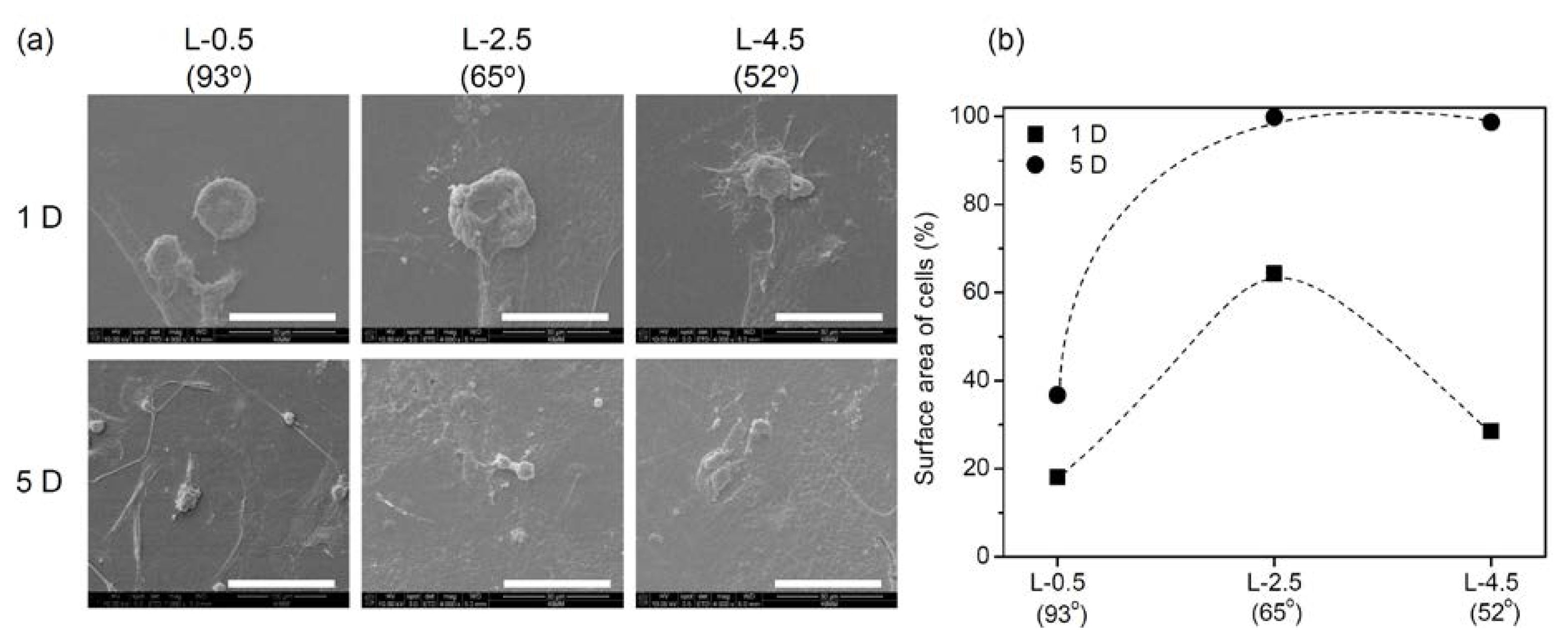 Ijms 15 02075f5 1024