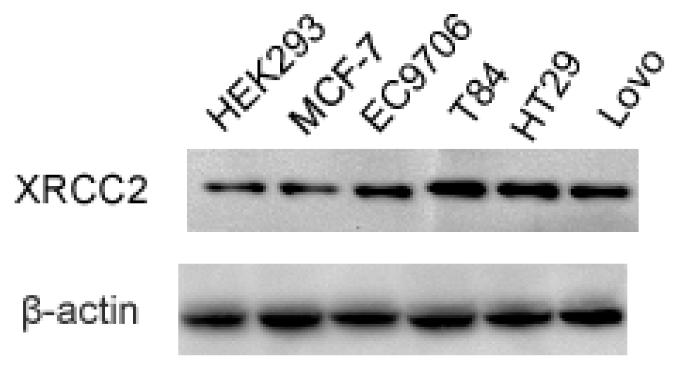 Ijms 15 02157f1 1024