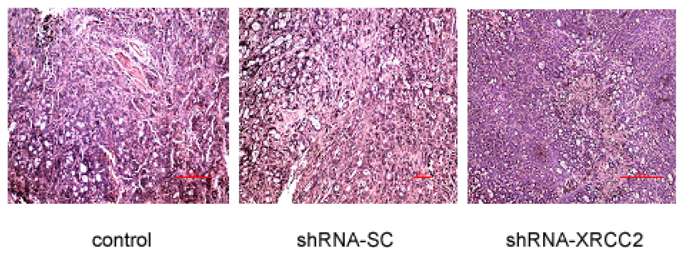 Ijms 15 02157f8 1024