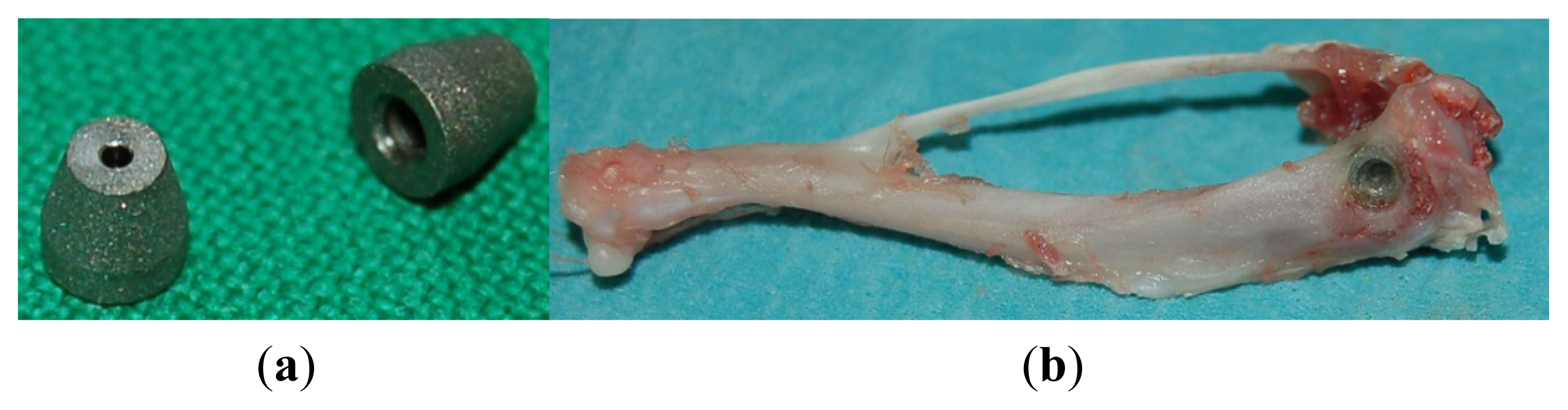 Ijms 15 02454f3 1024