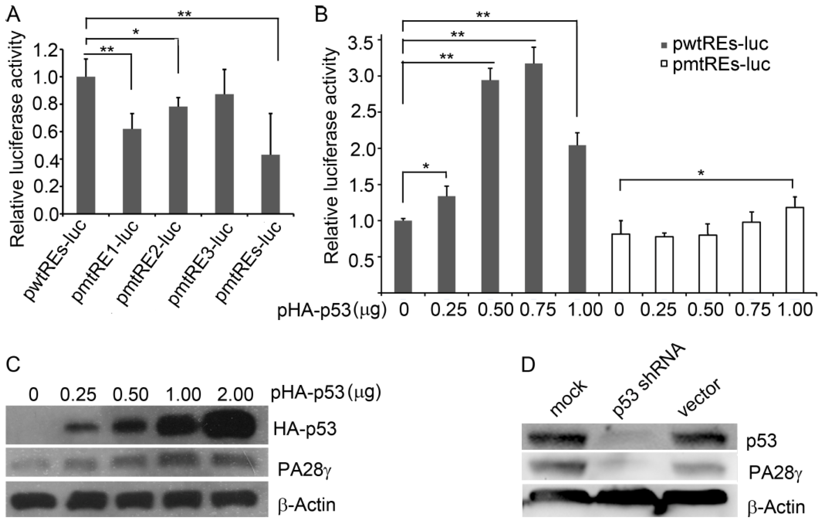 Ijms 15 02573f3 1024