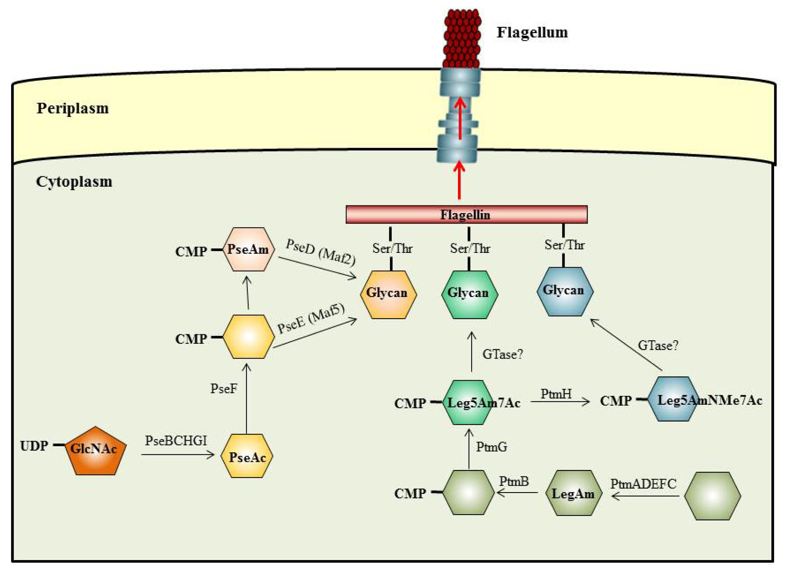 Ijms 15 02840f1 1024
