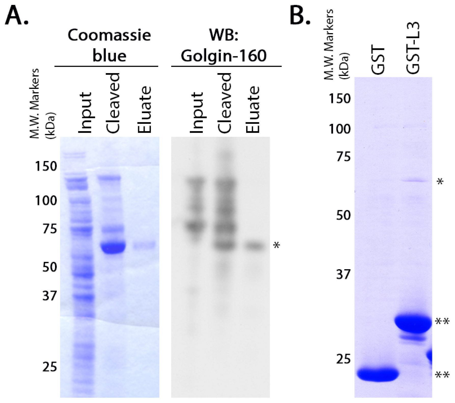 Ijms 15 02929f1 1024