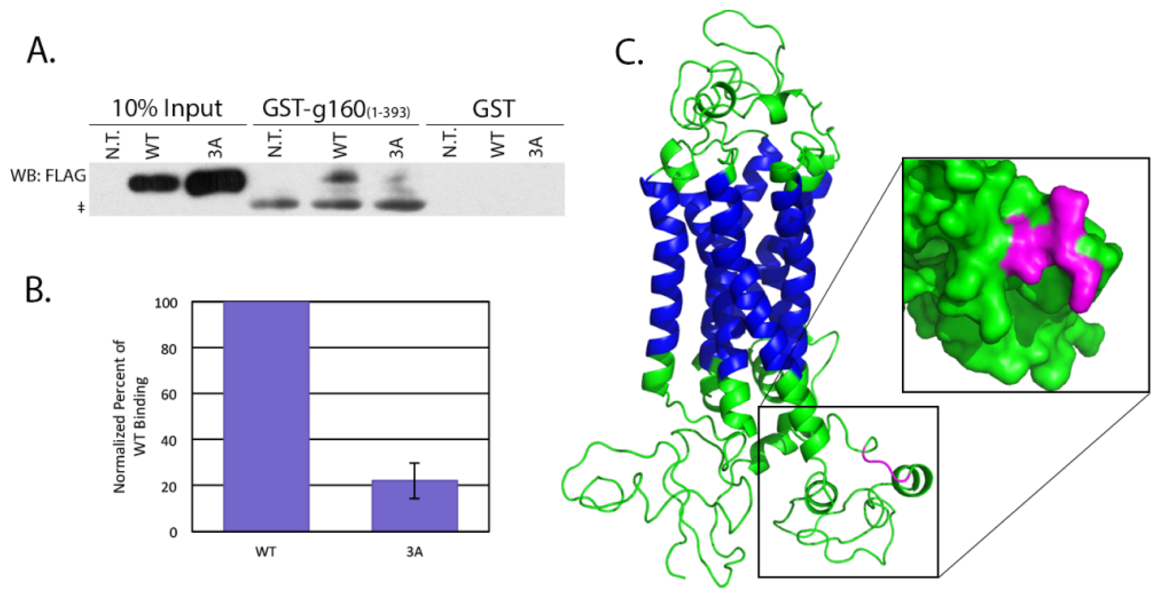 Ijms 15 02929f3 1024