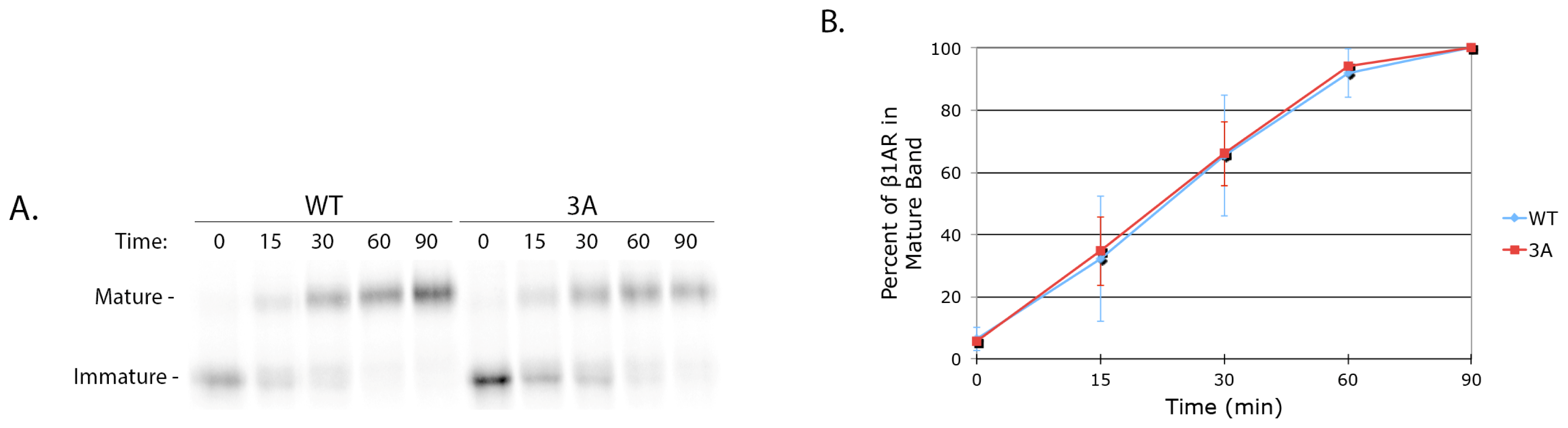 Ijms 15 02929f4 1024