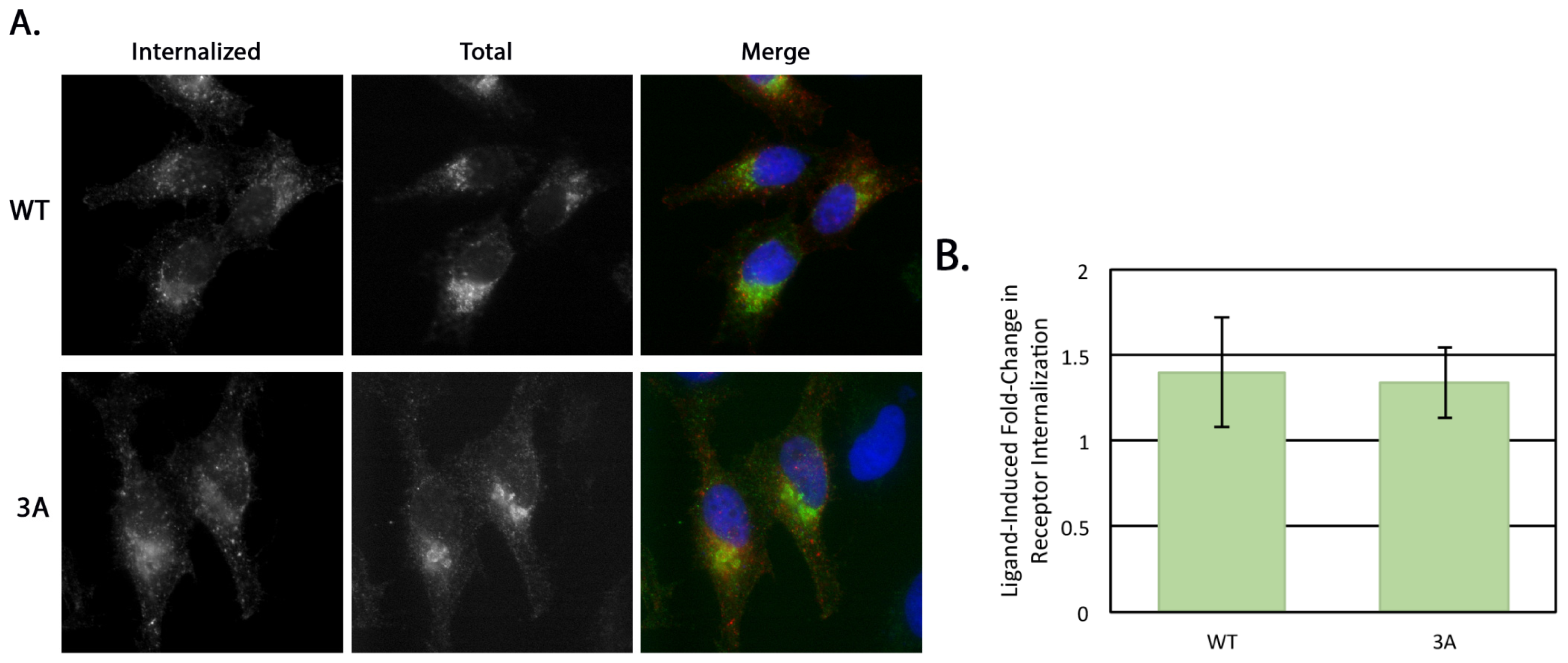 Ijms 15 02929f5 1024