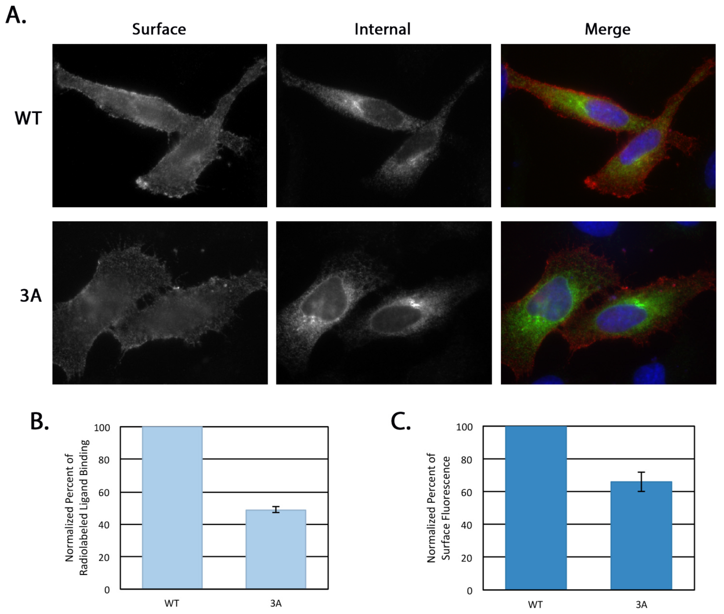Ijms 15 02929f6 1024