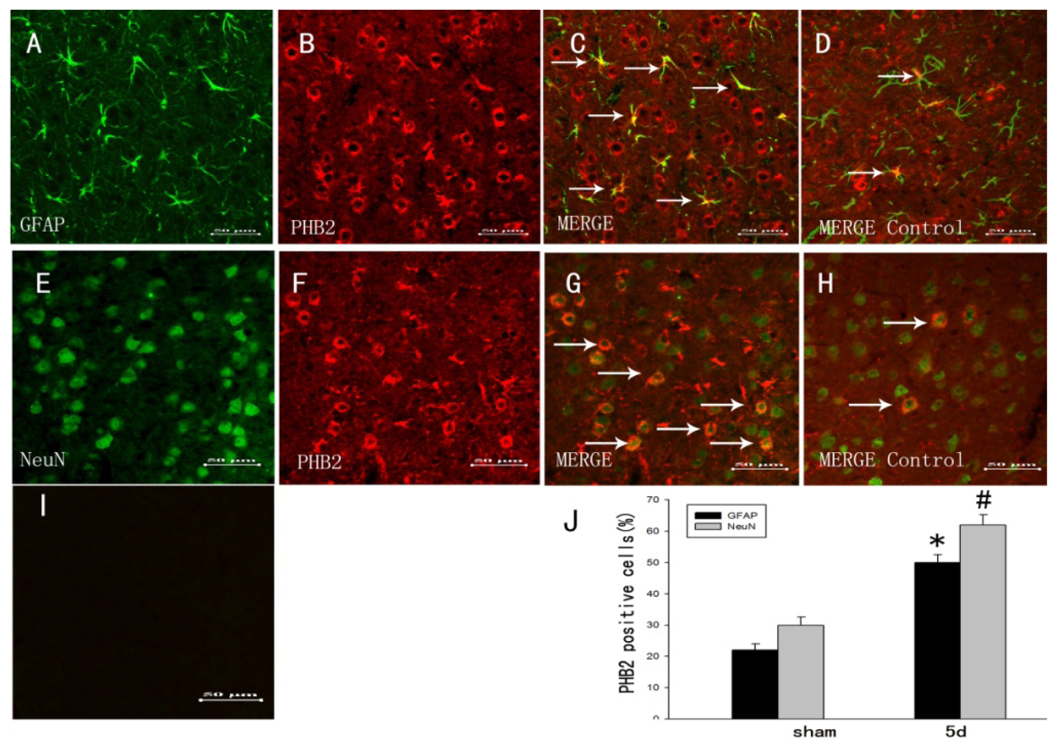 Ijms 15 03299f3 1024