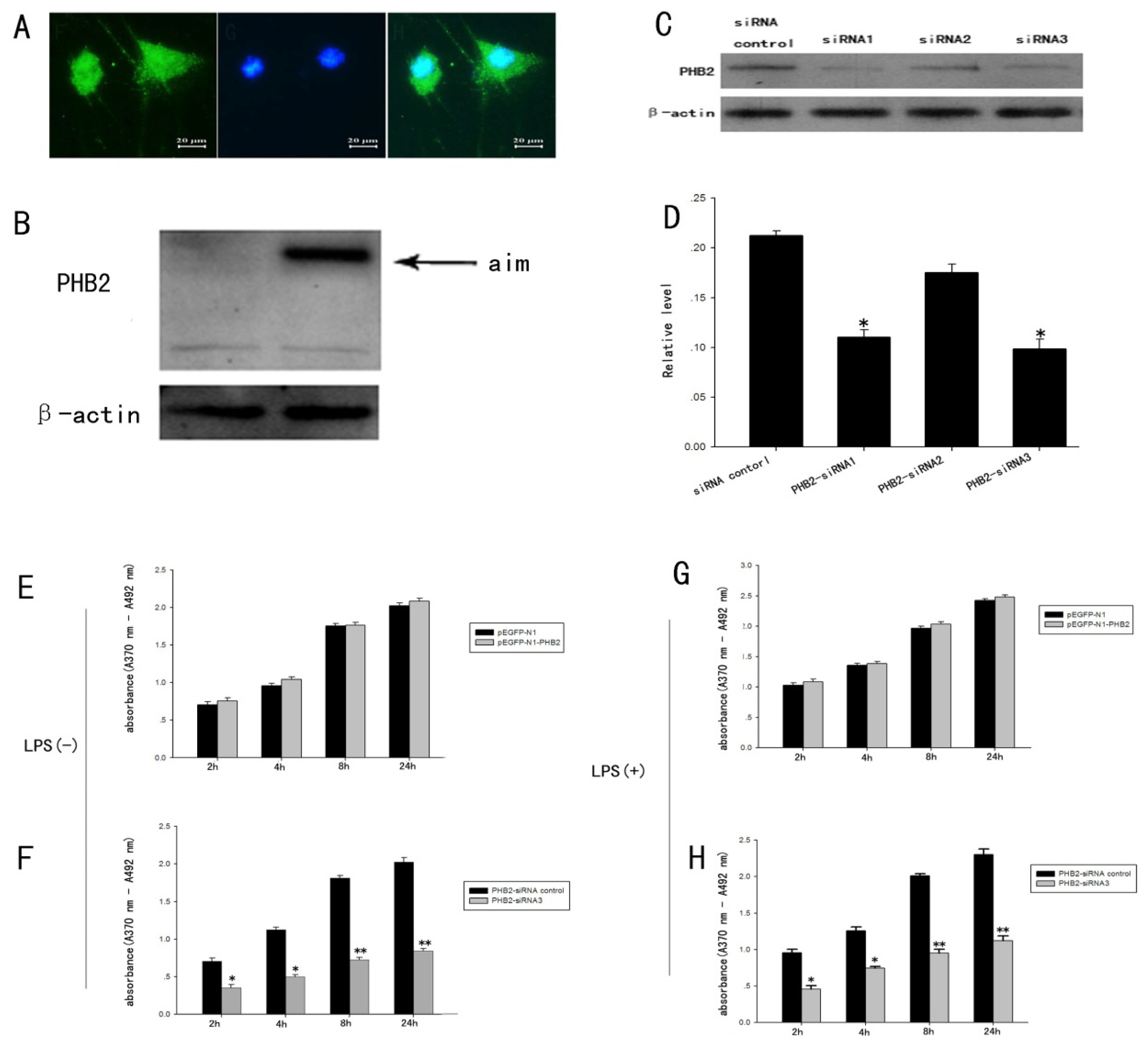 Ijms 15 03299f5 1024