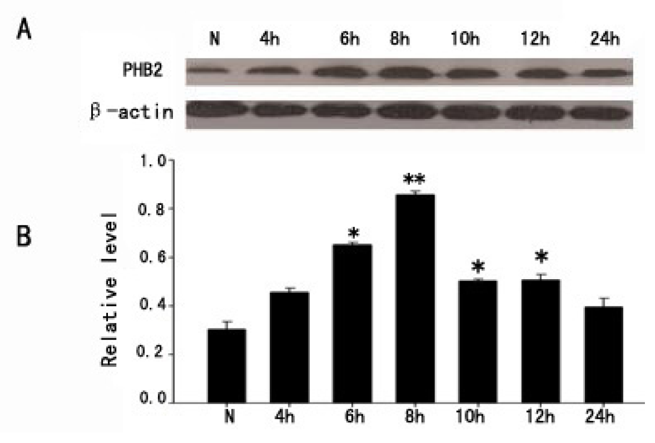 Ijms 15 03299f7 1024