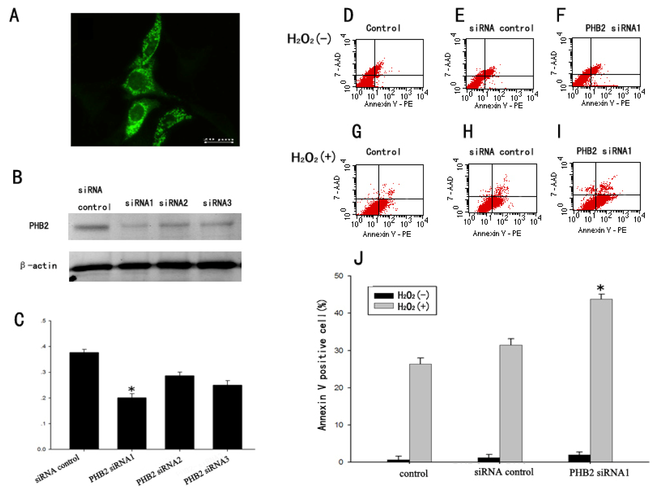 Ijms 15 03299f8 1024