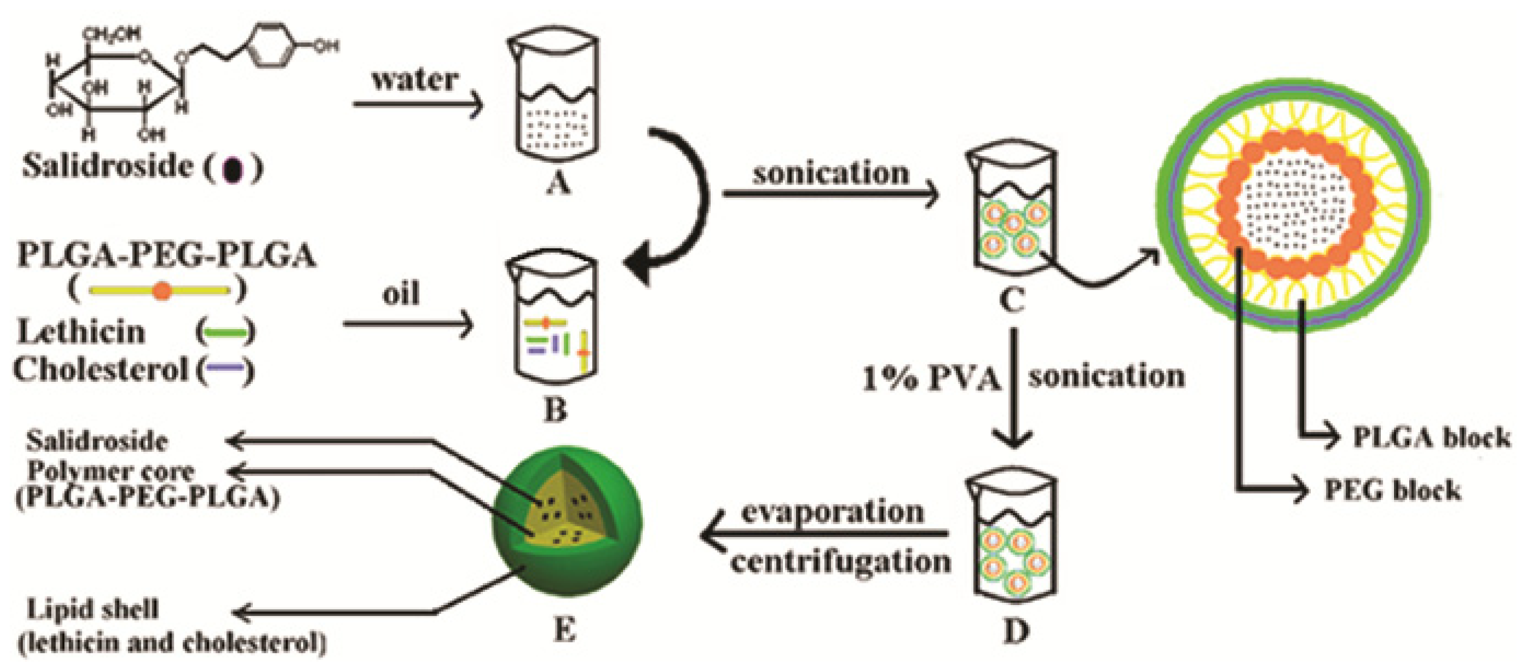 Ijms 15 03373f10 1024