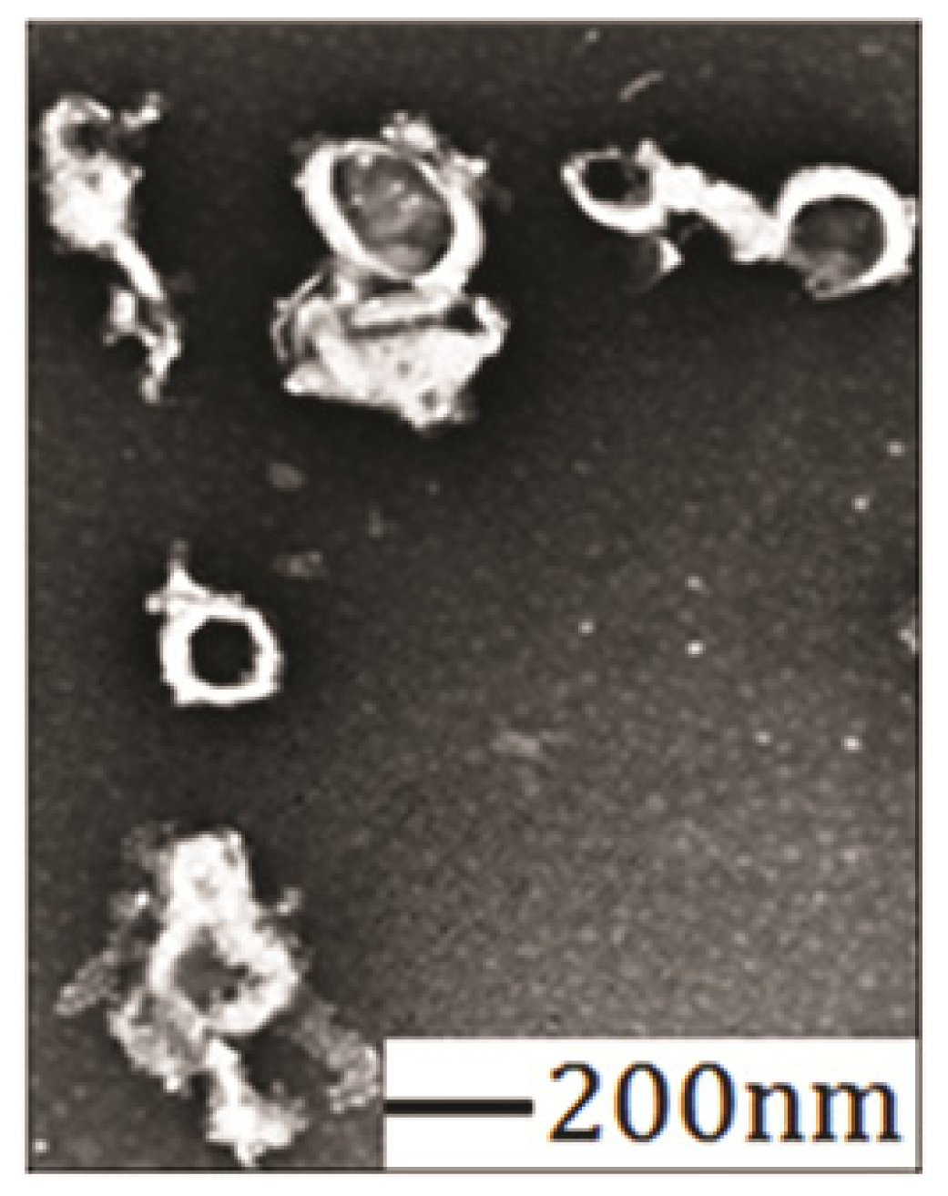 Ijms 15 03373f6 1024