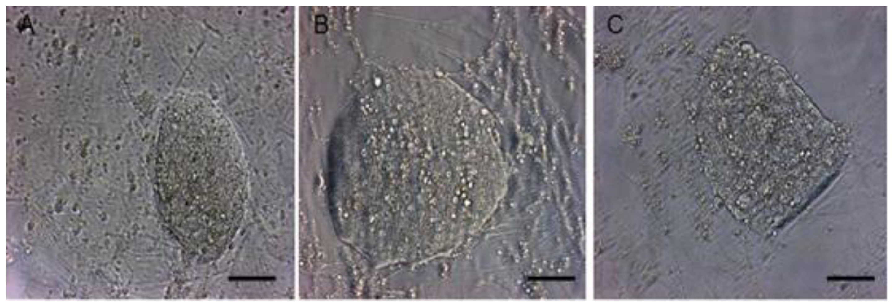 Ijms 15 03389f1 1024