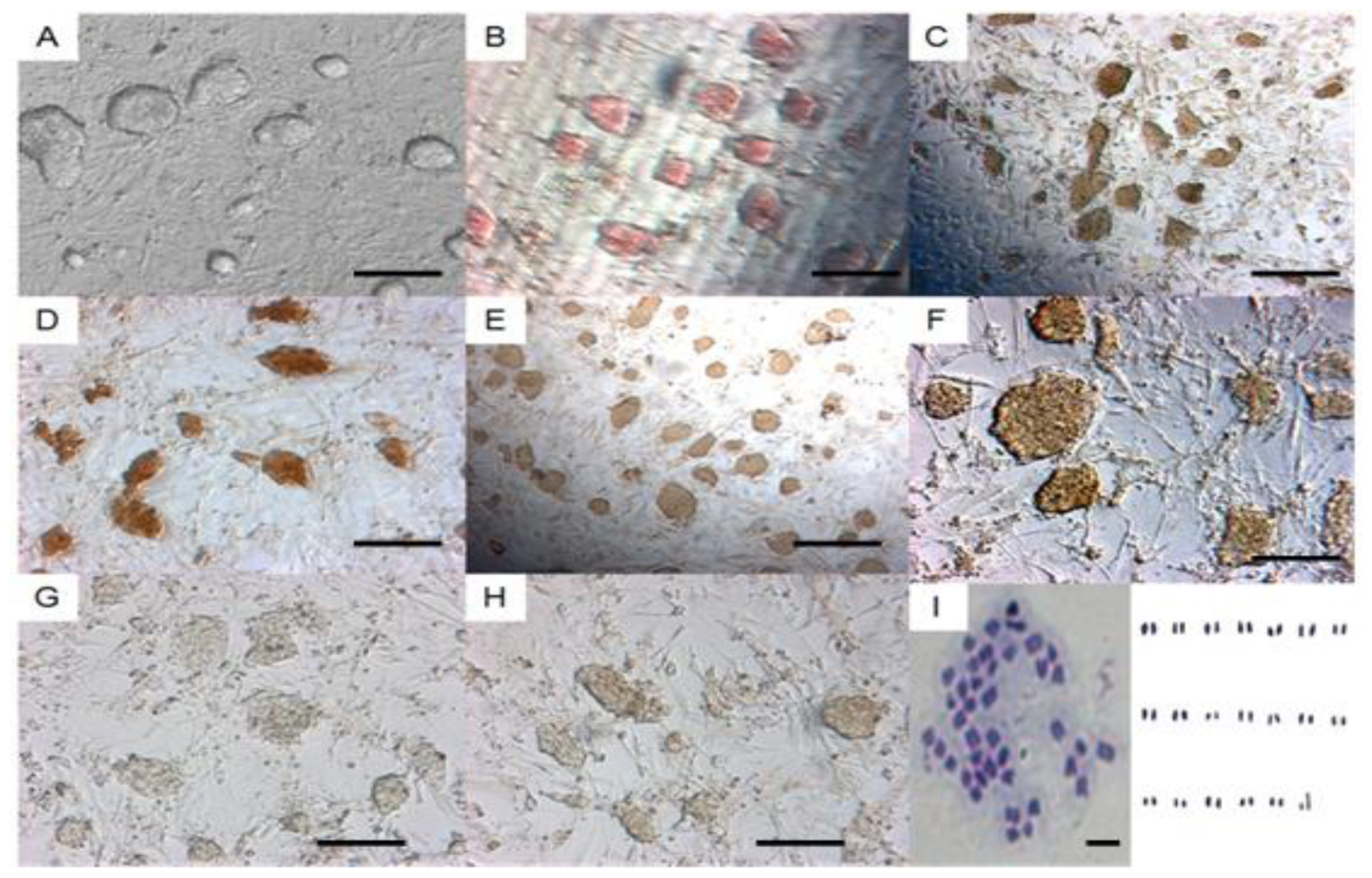 Ijms 15 03389f2 1024