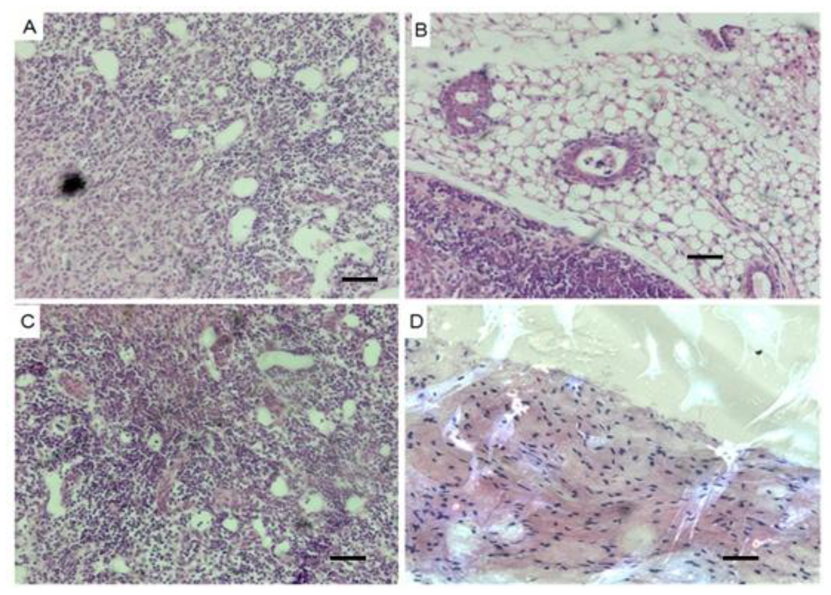 Ijms 15 03389f5 1024