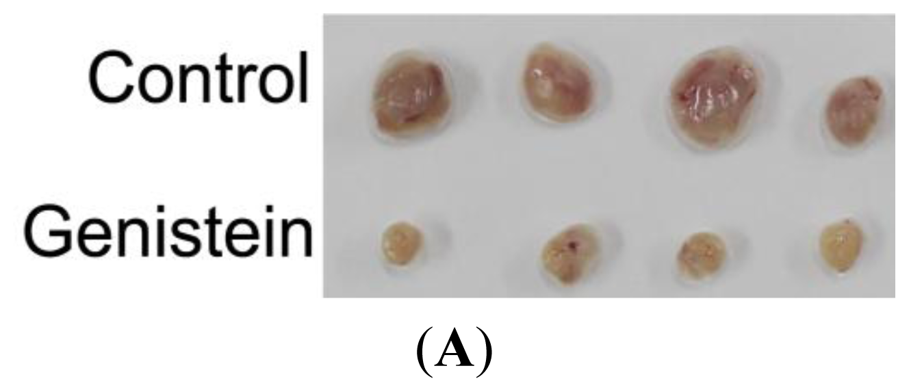 Ijms 15 03432f4a 1024