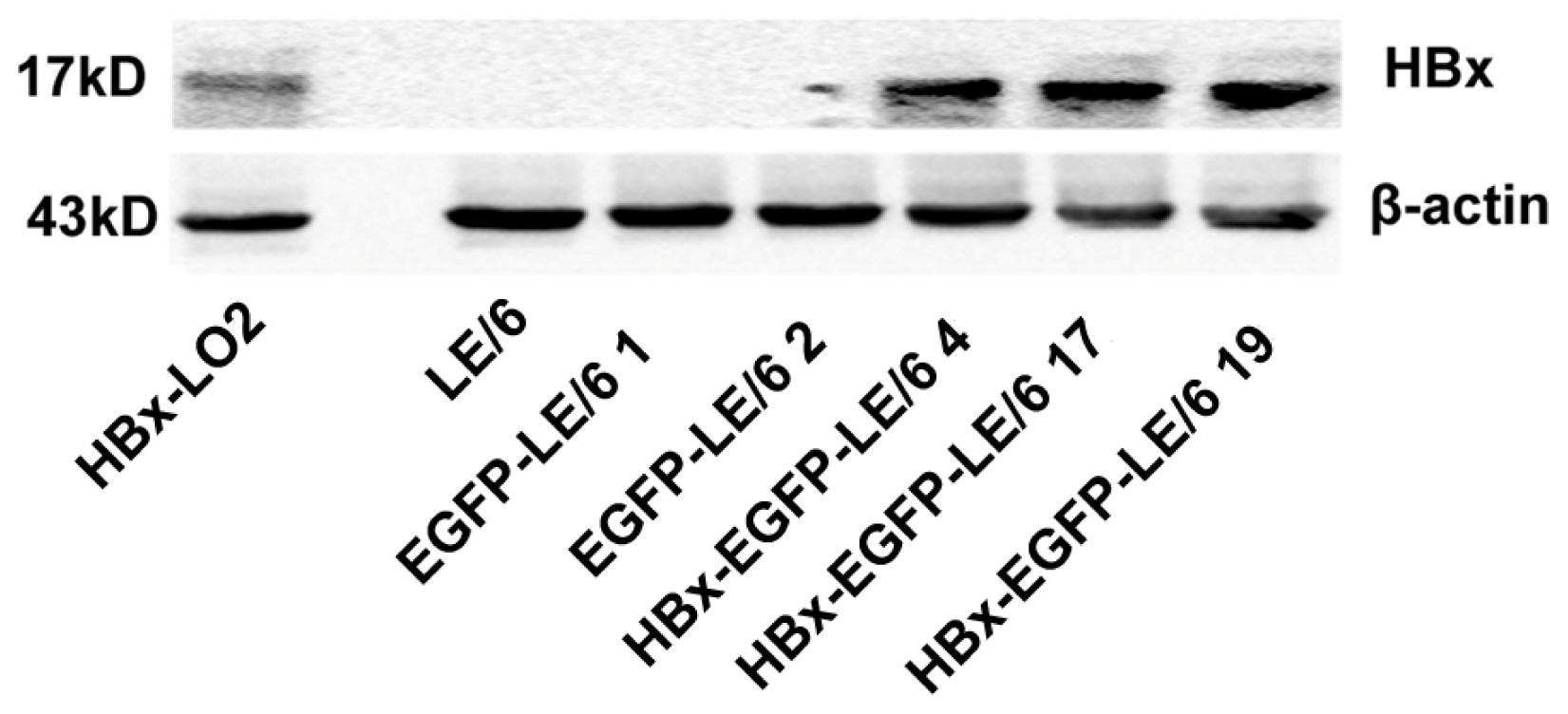 Ijms 15 03507f1 1024