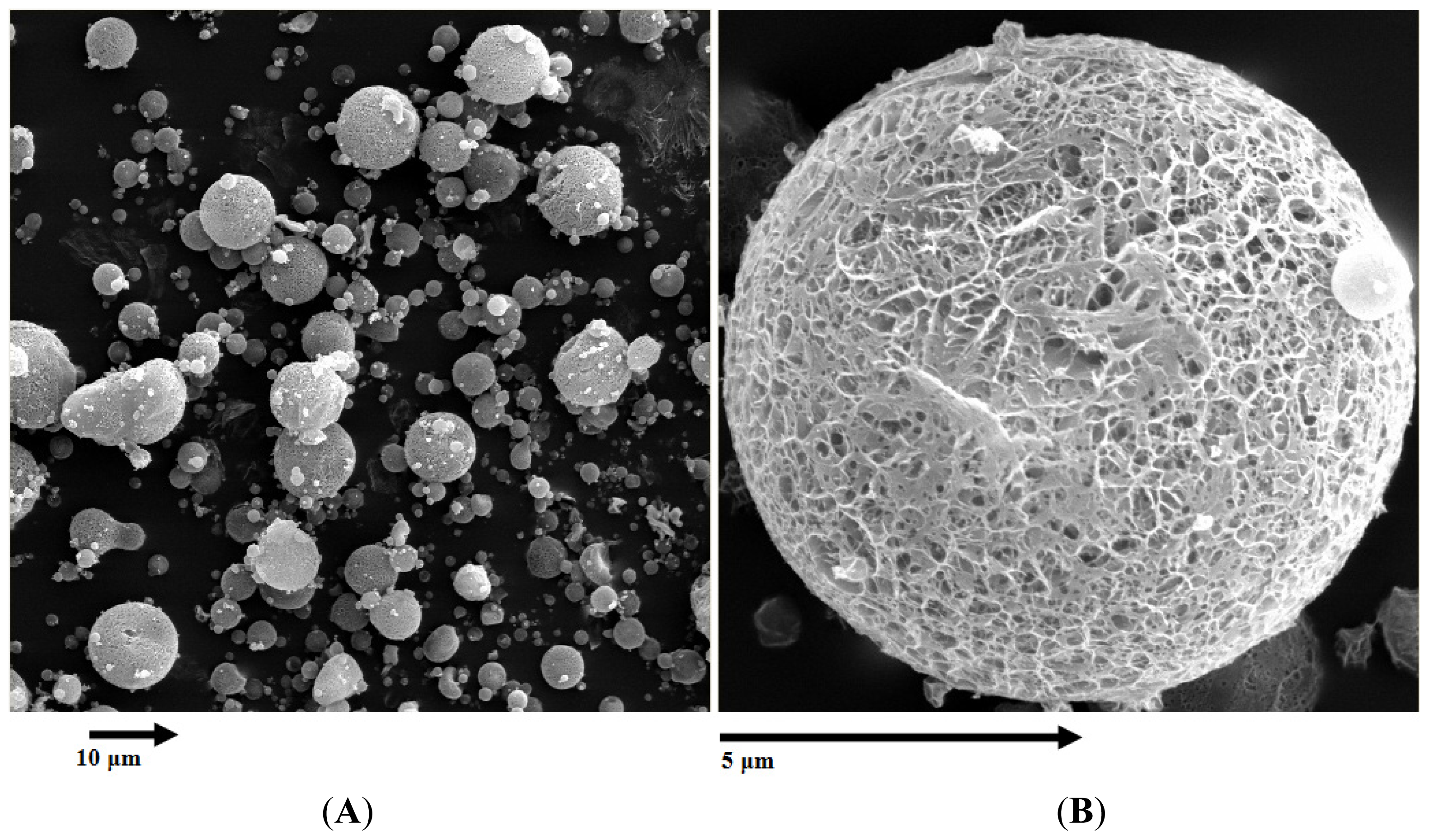 Ijms 15 03519f2 1024