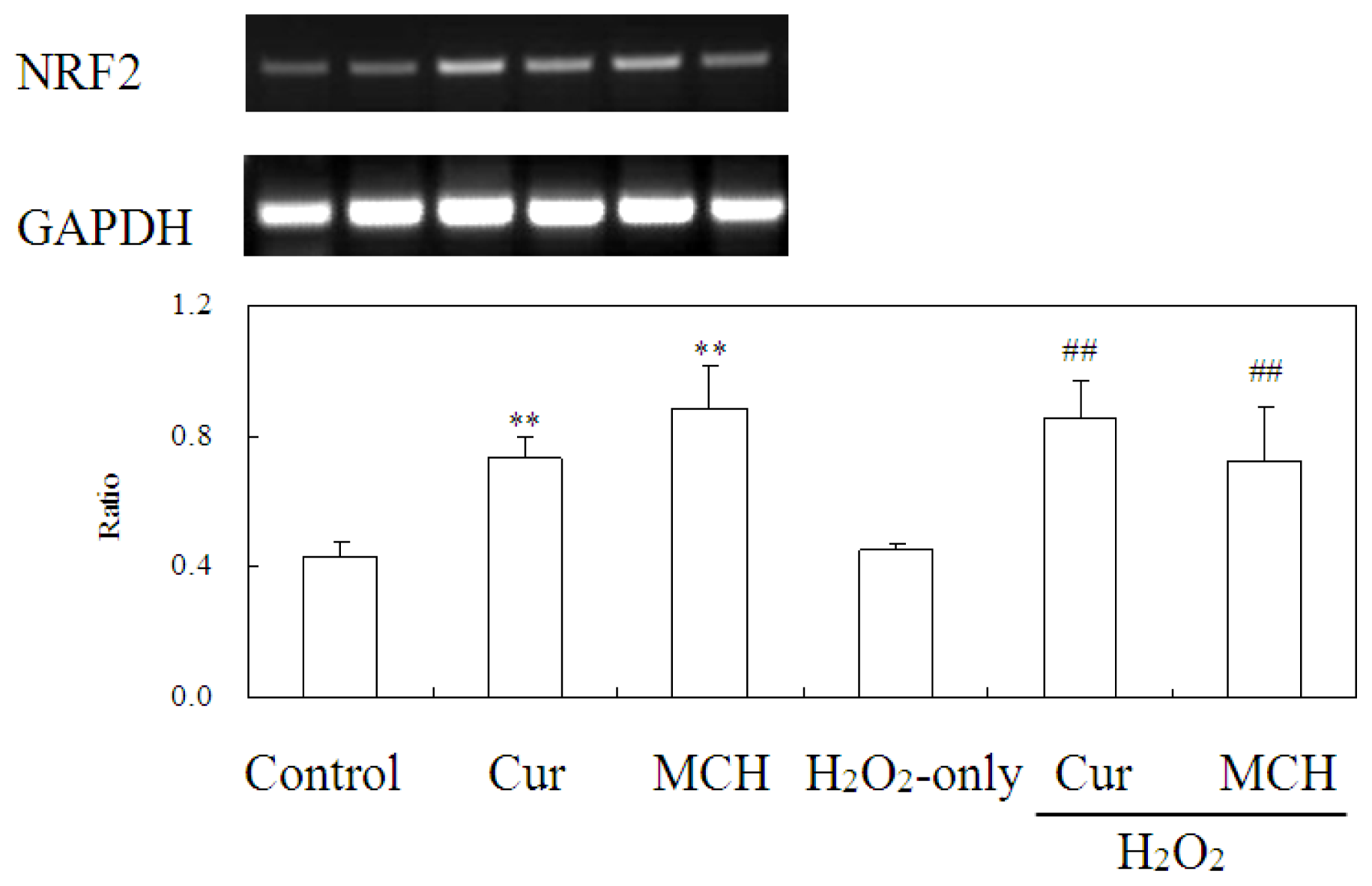 Ijms 15 03970f10 1024