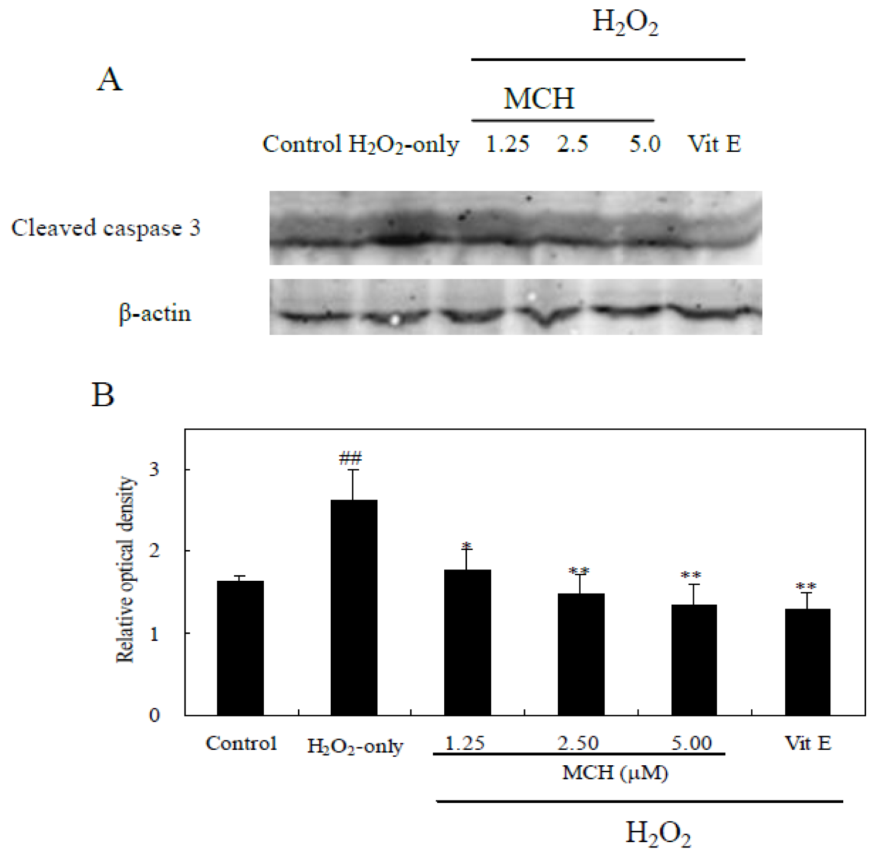 Ijms 15 03970f9 1024